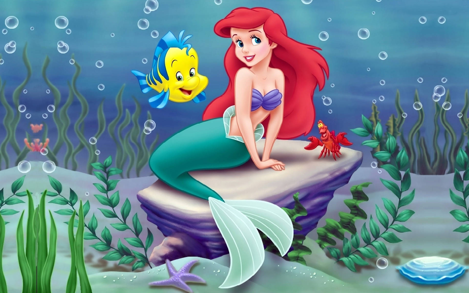 Ariel 2560X1600 Wallpaper and Background Image