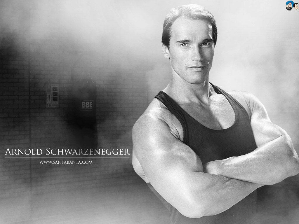 Arnold Schwarzenegger 1024X768 Wallpaper and Background Image