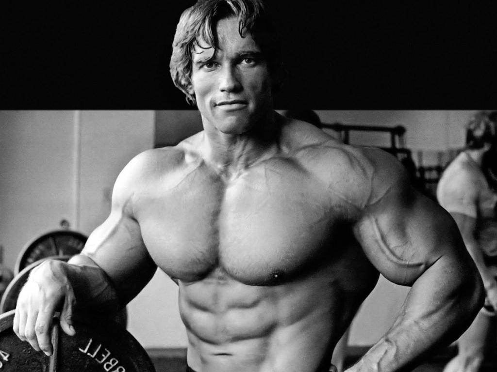 Arnold Schwarzenegger 1024X768 Wallpaper and Background Image