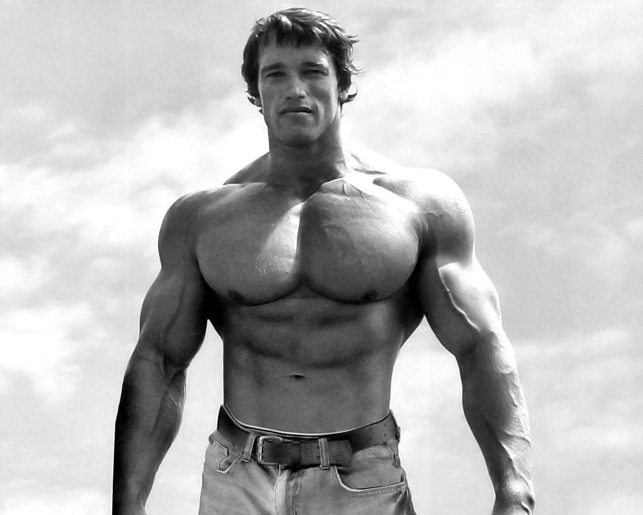 Arnold Schwarzenegger 1280X1024 Wallpaper and Background Image