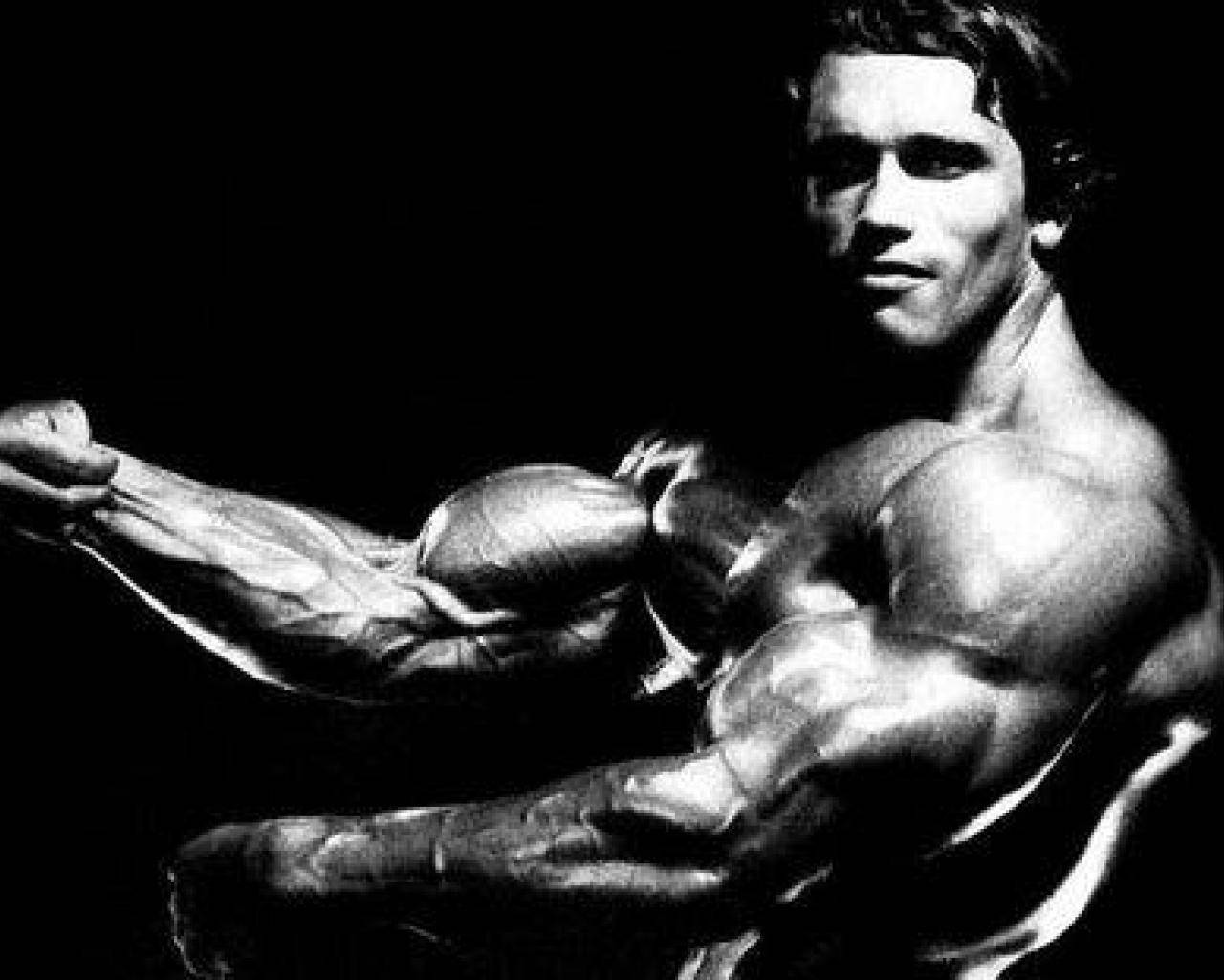 Arnold Schwarzenegger 1280X1024 Wallpaper and Background Image