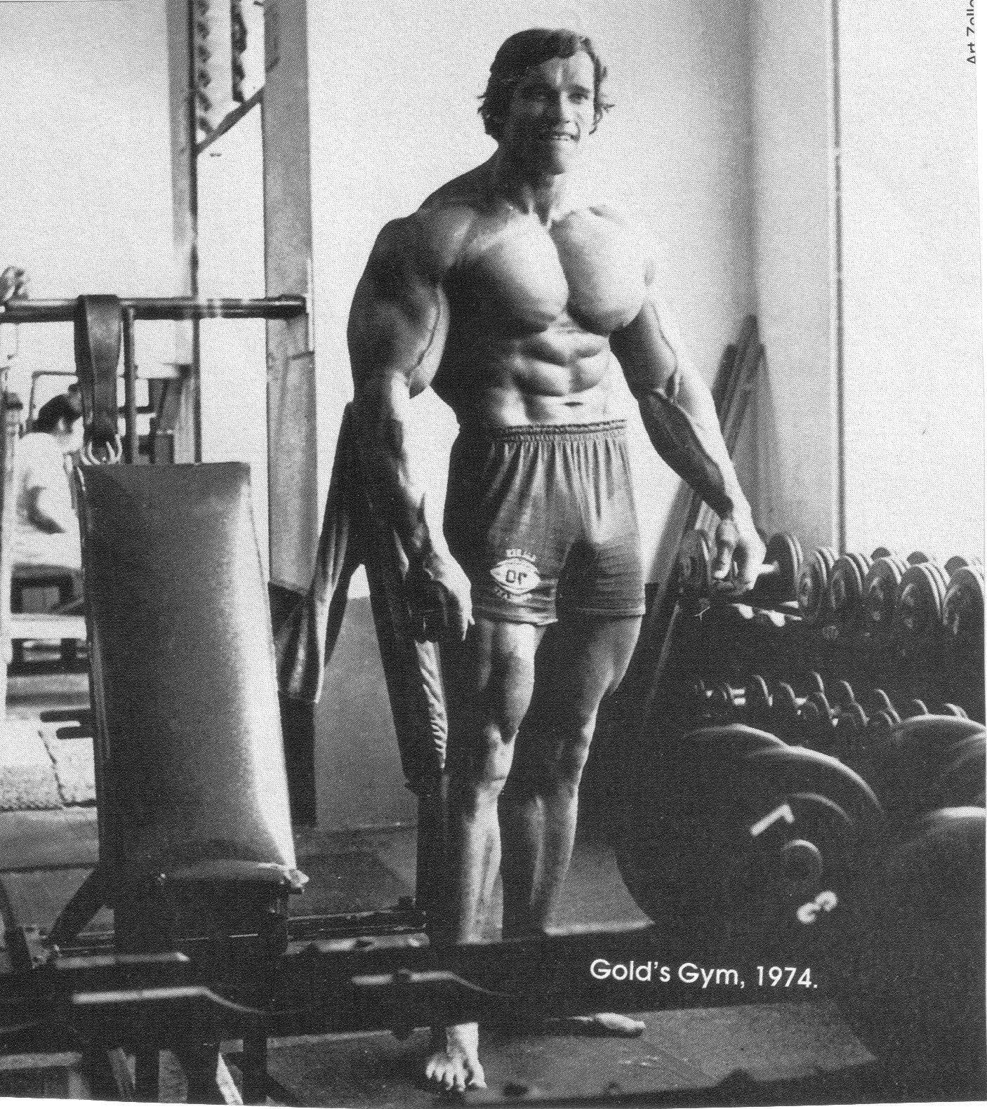 Arnold Schwarzenegger 1406X1580 Wallpaper and Background Image