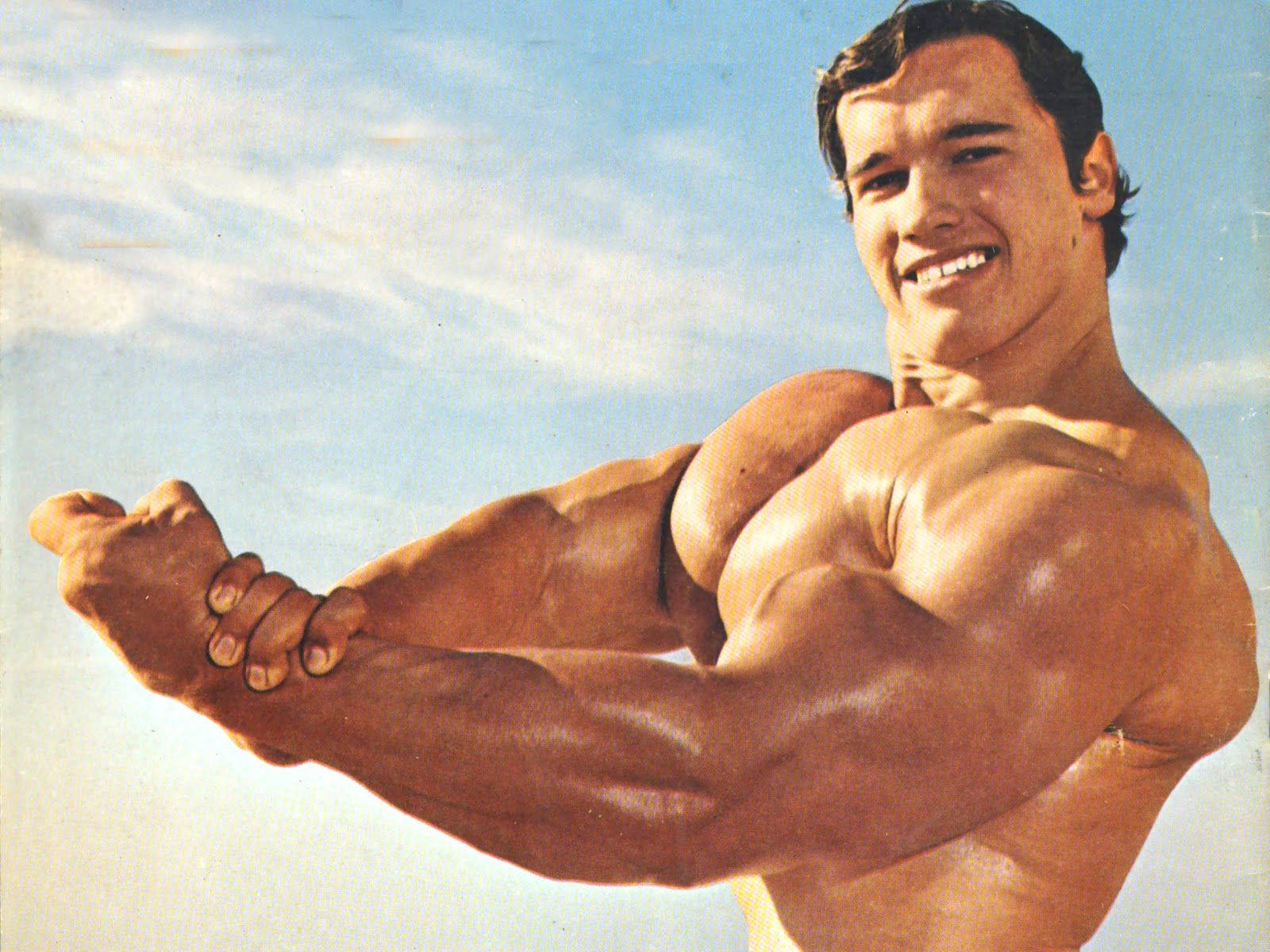 Arnold Schwarzenegger 1600X1200 Wallpaper and Background Image
