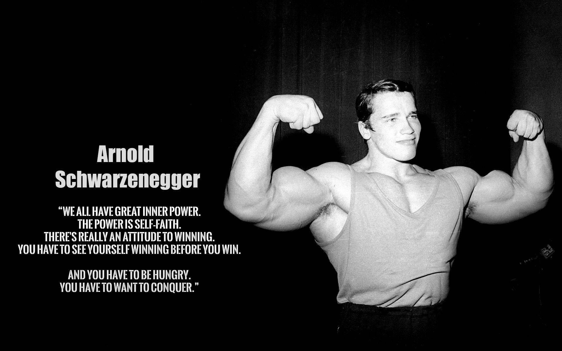 1920X1200 Arnold Schwarzenegger Wallpaper and Background