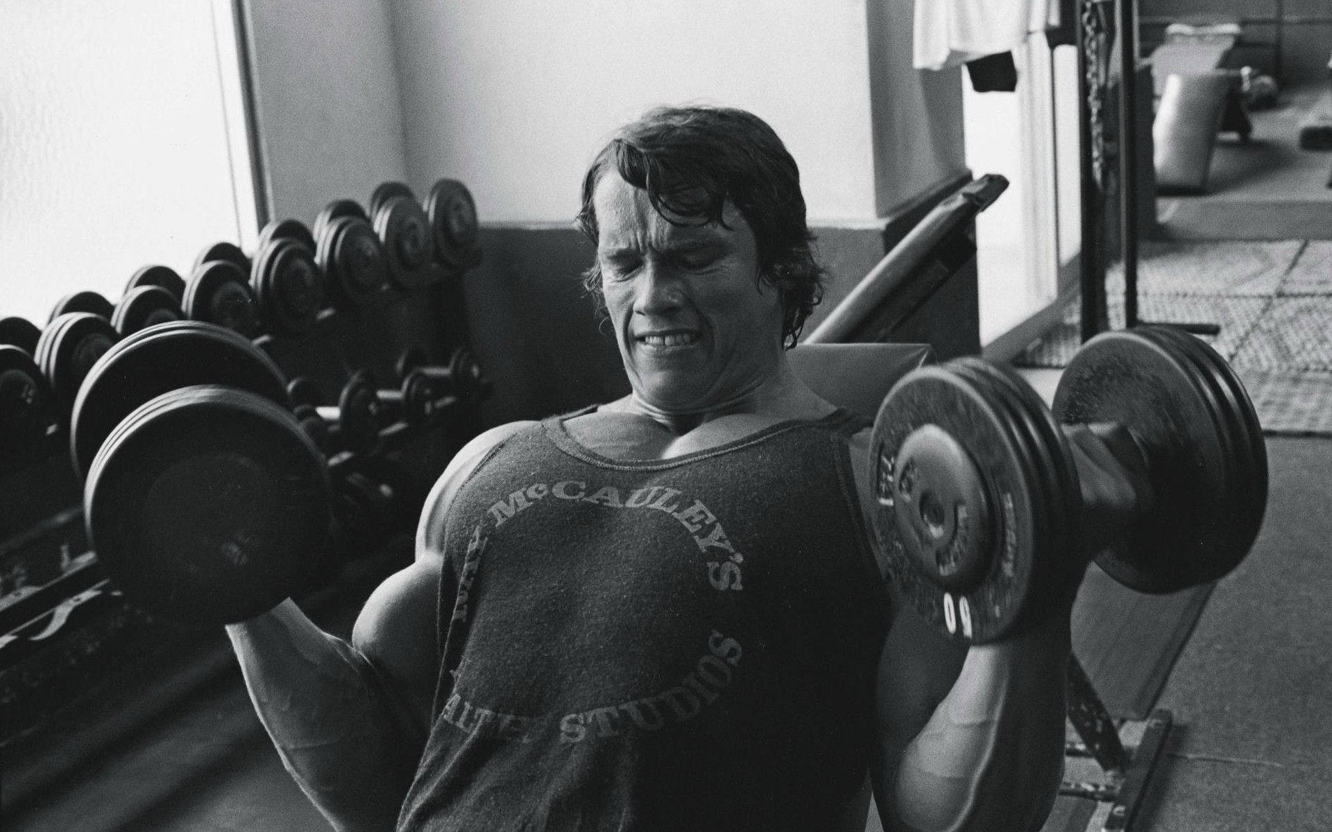 Arnold Schwarzenegger 1920X1200 Wallpaper and Background Image