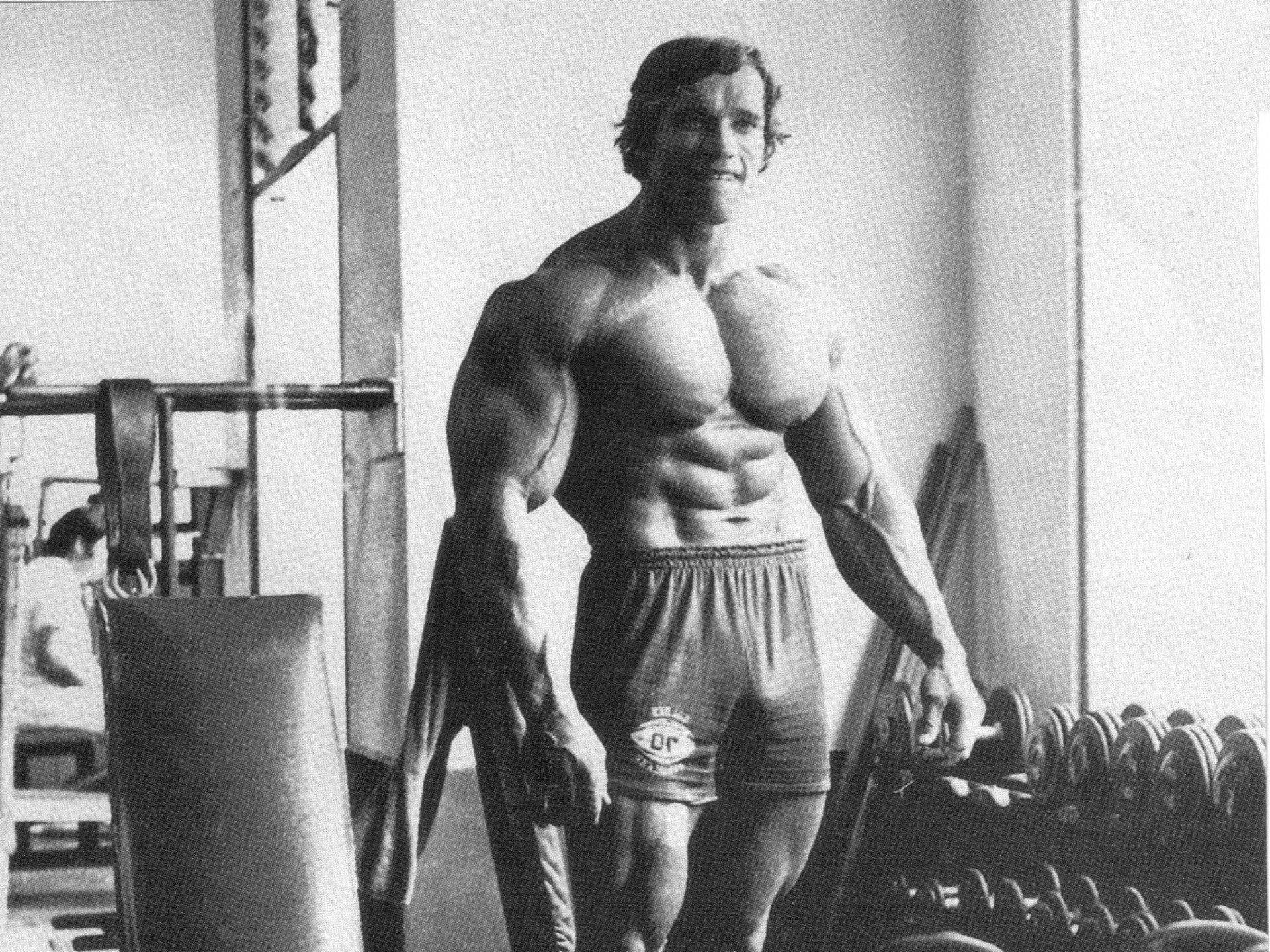 Arnold Schwarzenegger 1920X1440 Wallpaper and Background Image