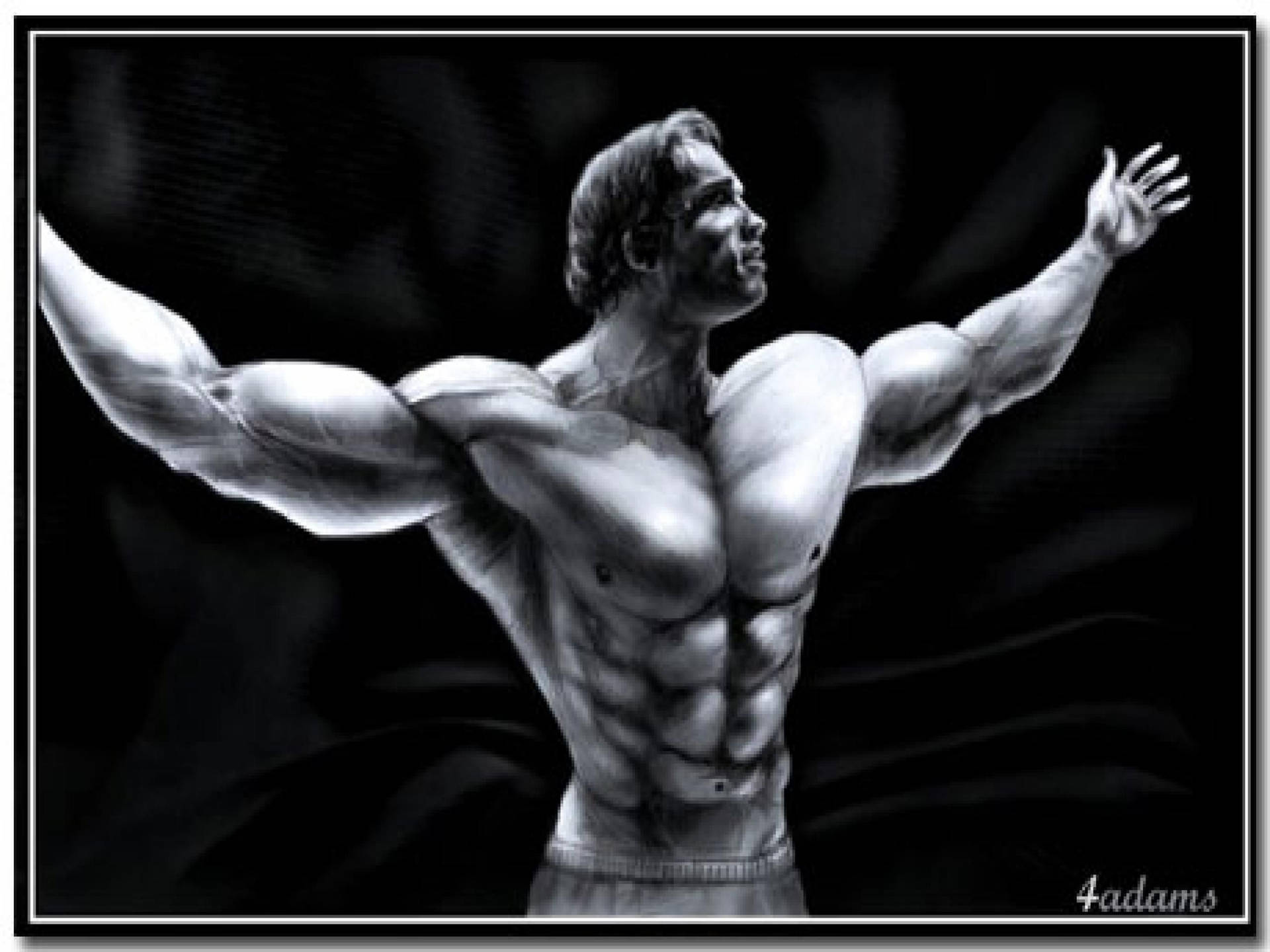 Arnold Schwarzenegger 2560X1920 Wallpaper and Background Image