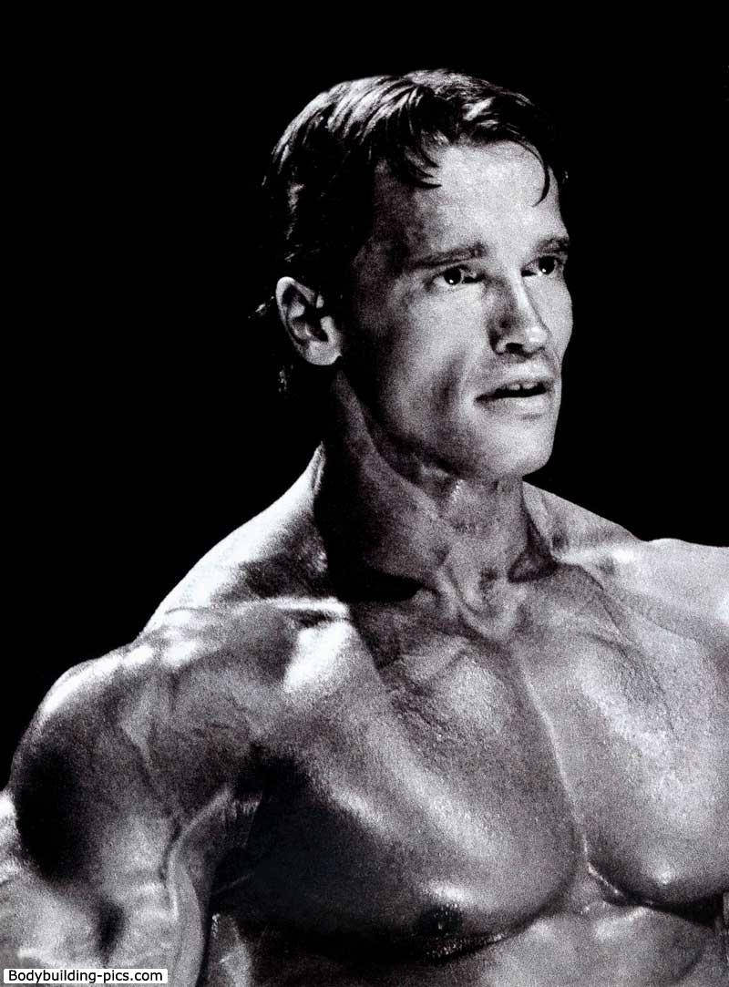 Arnold Schwarzenegger 800X1083 Wallpaper and Background Image