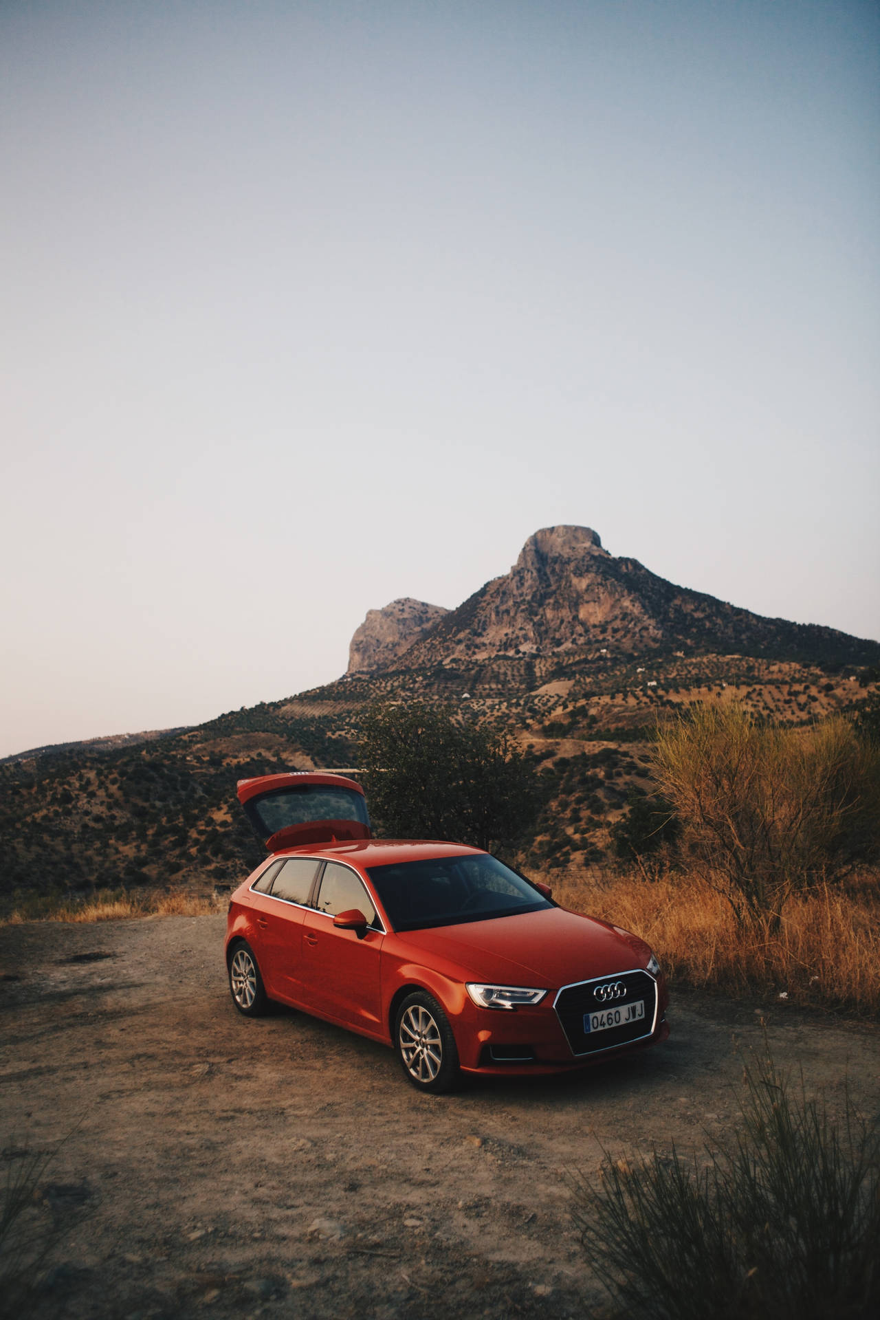 2730X4096 Audi Wallpaper and Background