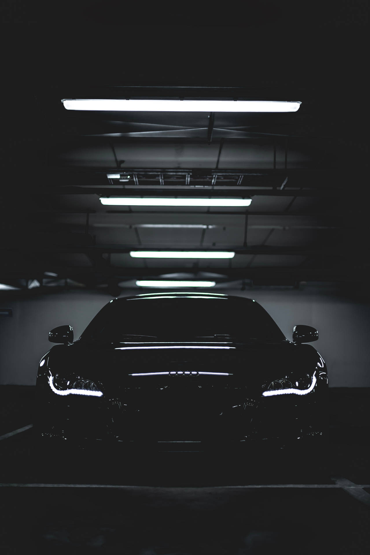 3519X5281 Audi Wallpaper and Background