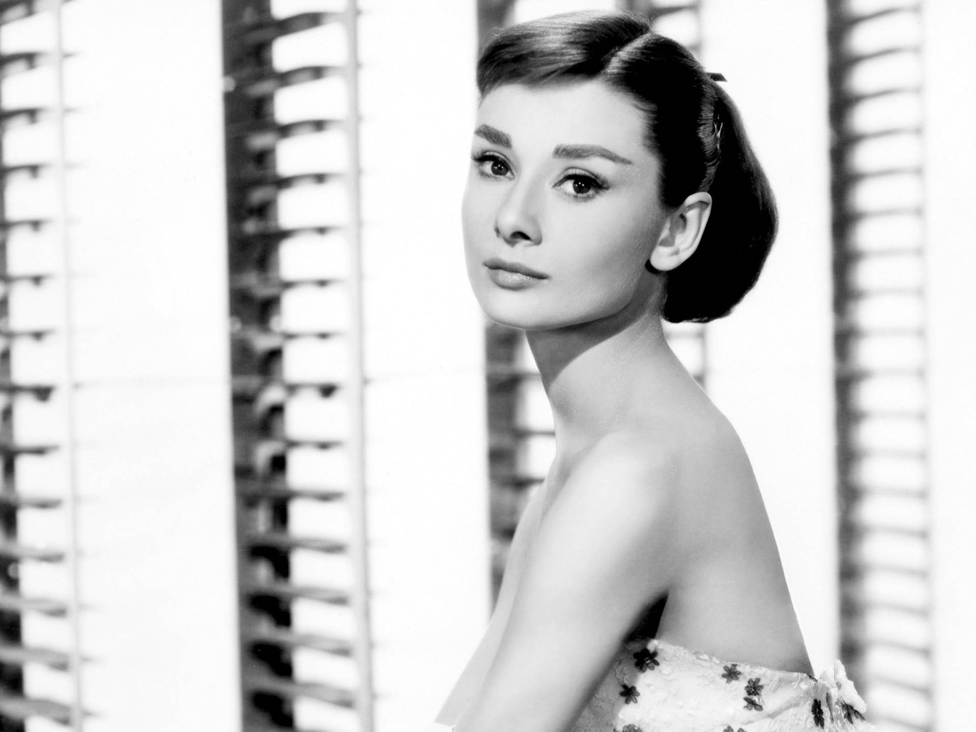 2431X1823 Audrey Hepburn Wallpaper and Background