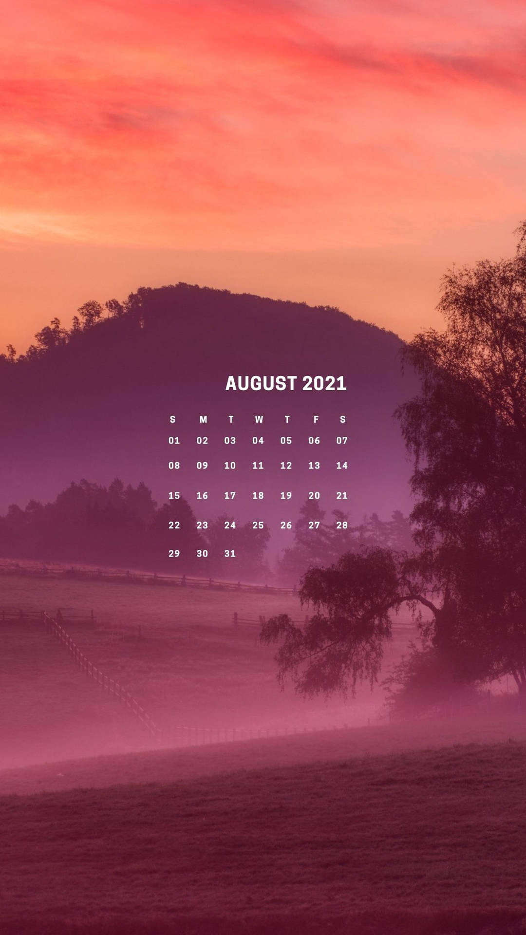 August 1242X2208 Wallpaper and Background Image