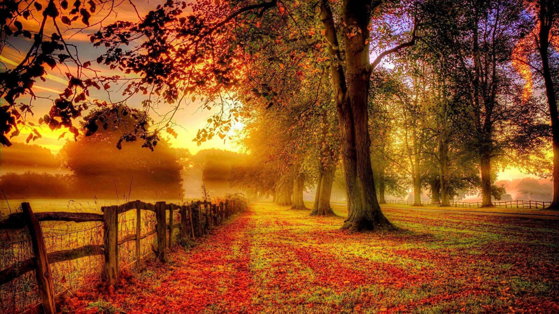 Autumn 1920X1080 Wallpaper and Background Image