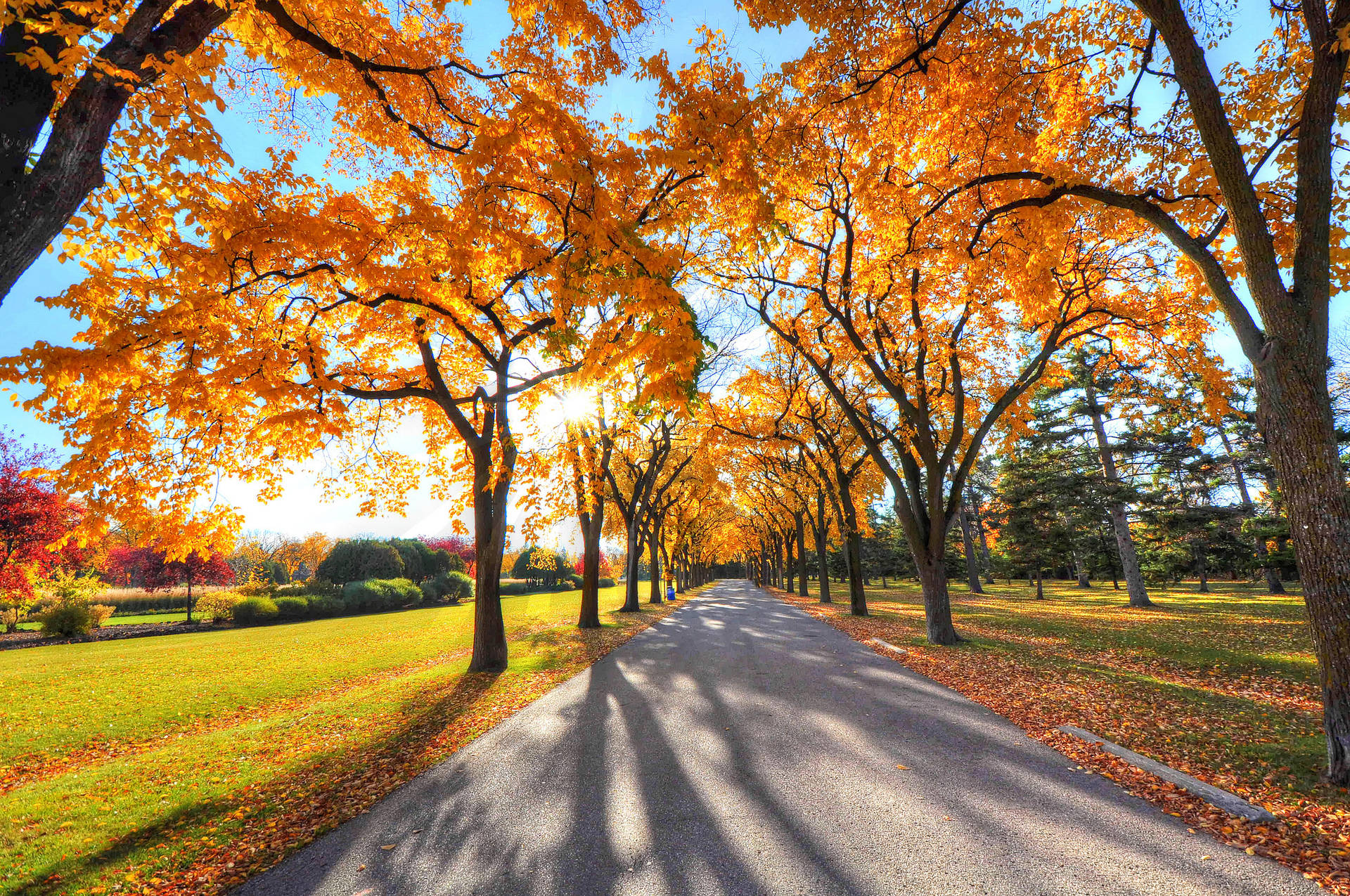 2048X1360 Autumn Wallpaper and Background