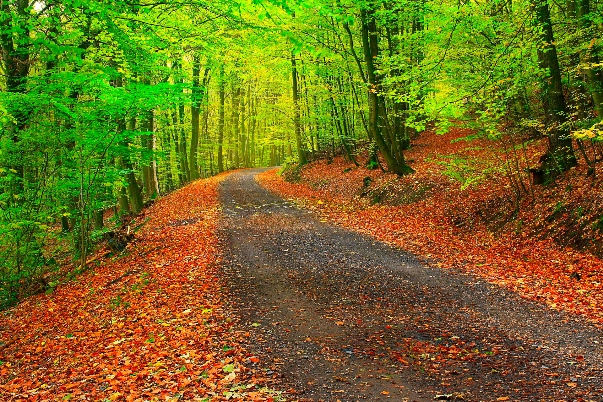 Autumn 2048X1365 Wallpaper and Background Image
