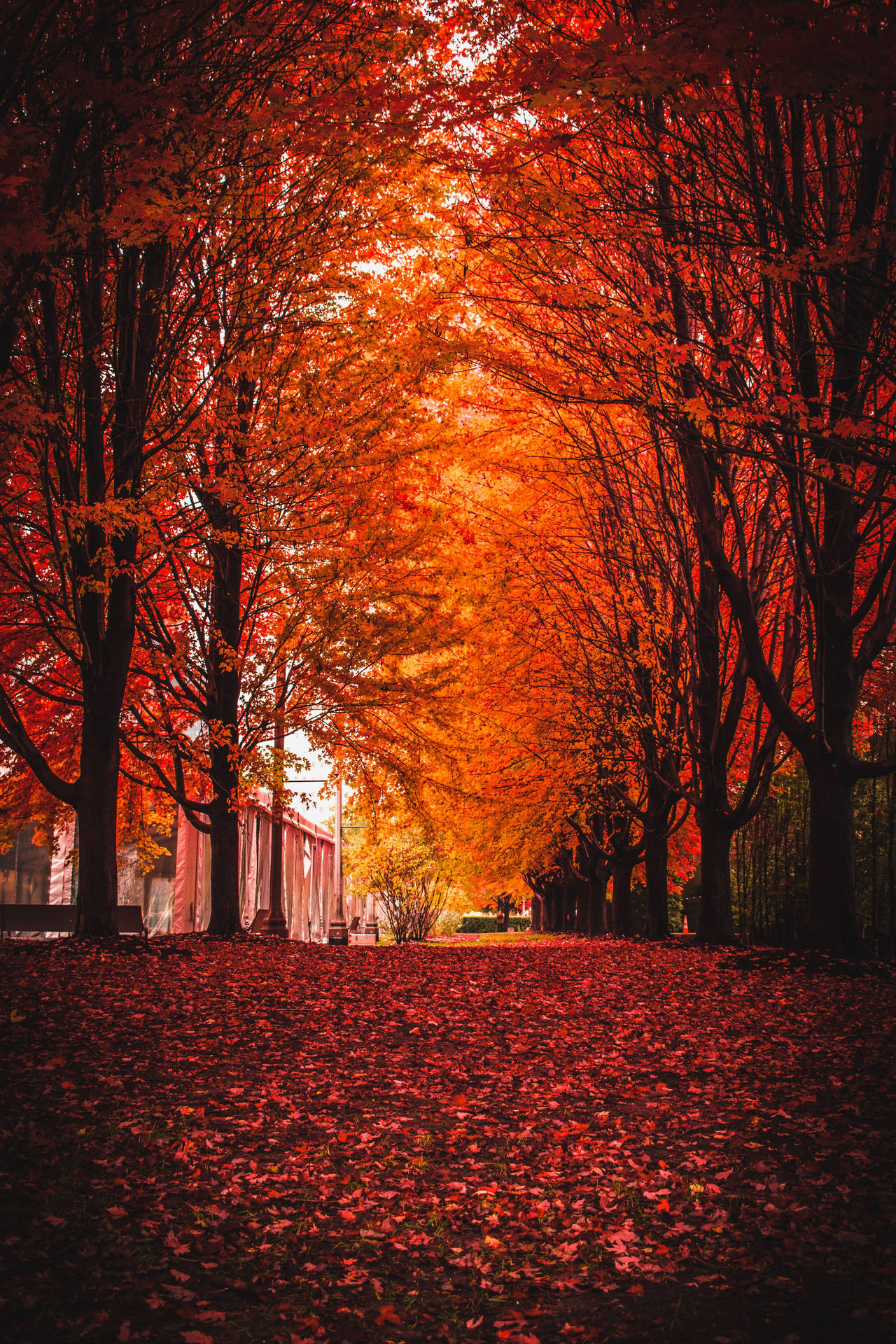 3411X5116 Autumn Wallpaper and Background
