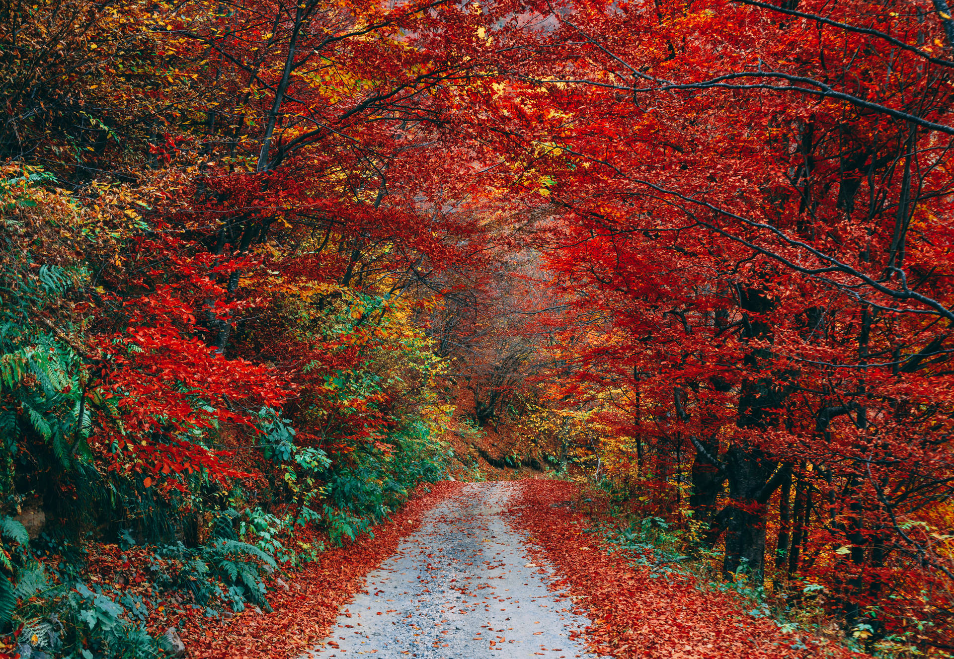 5786X4000 Autumn Wallpaper and Background