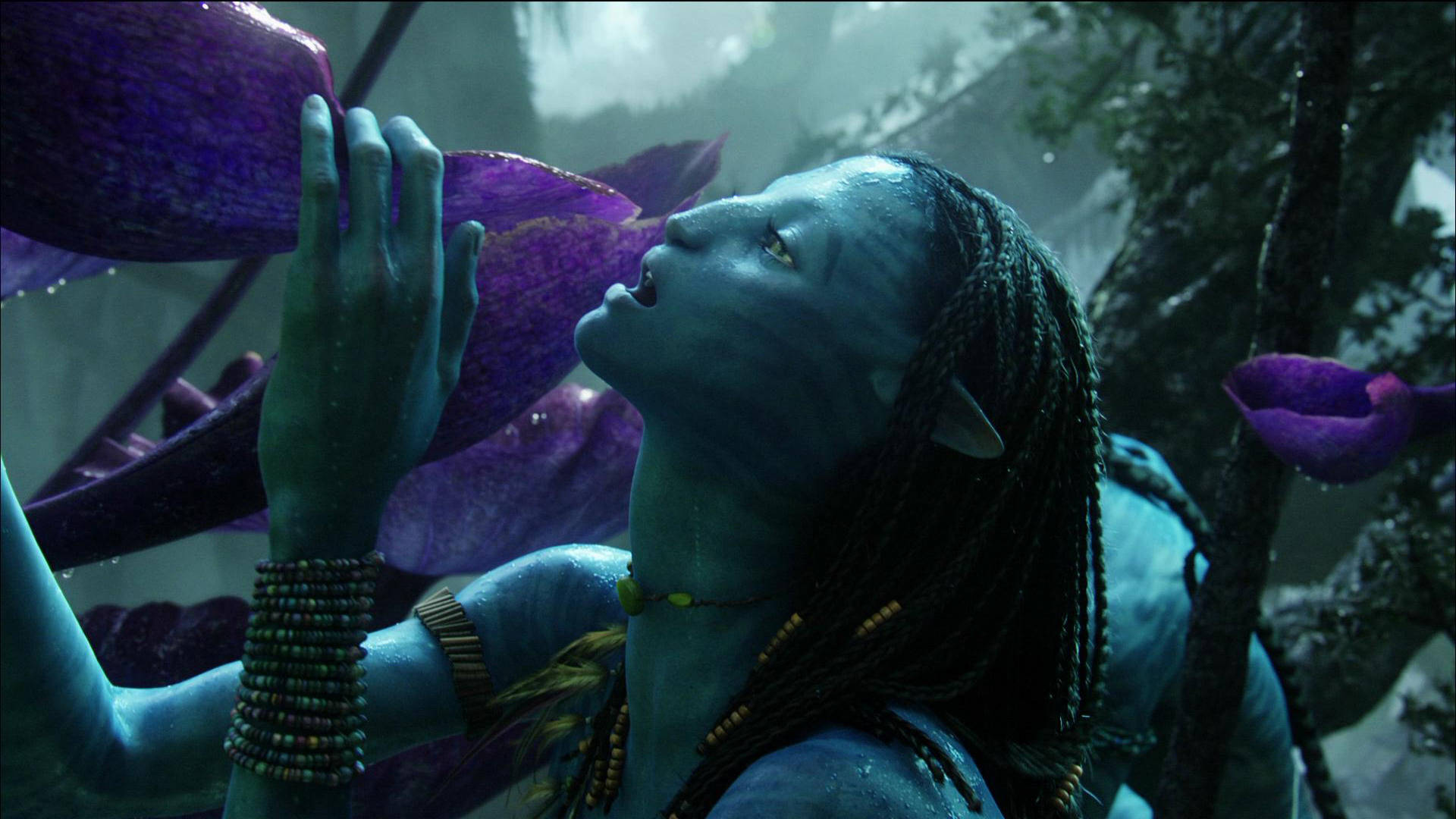 Avatar 1920X1080 Wallpaper and Background Image