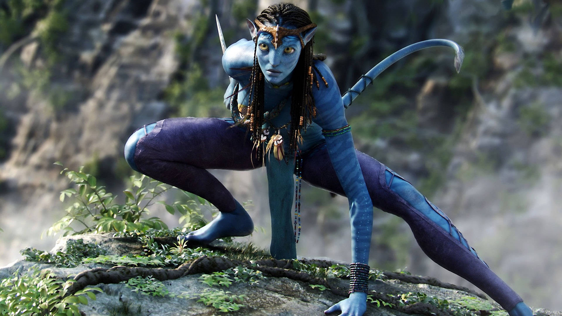 Avatar 1920X1080 Wallpaper and Background Image