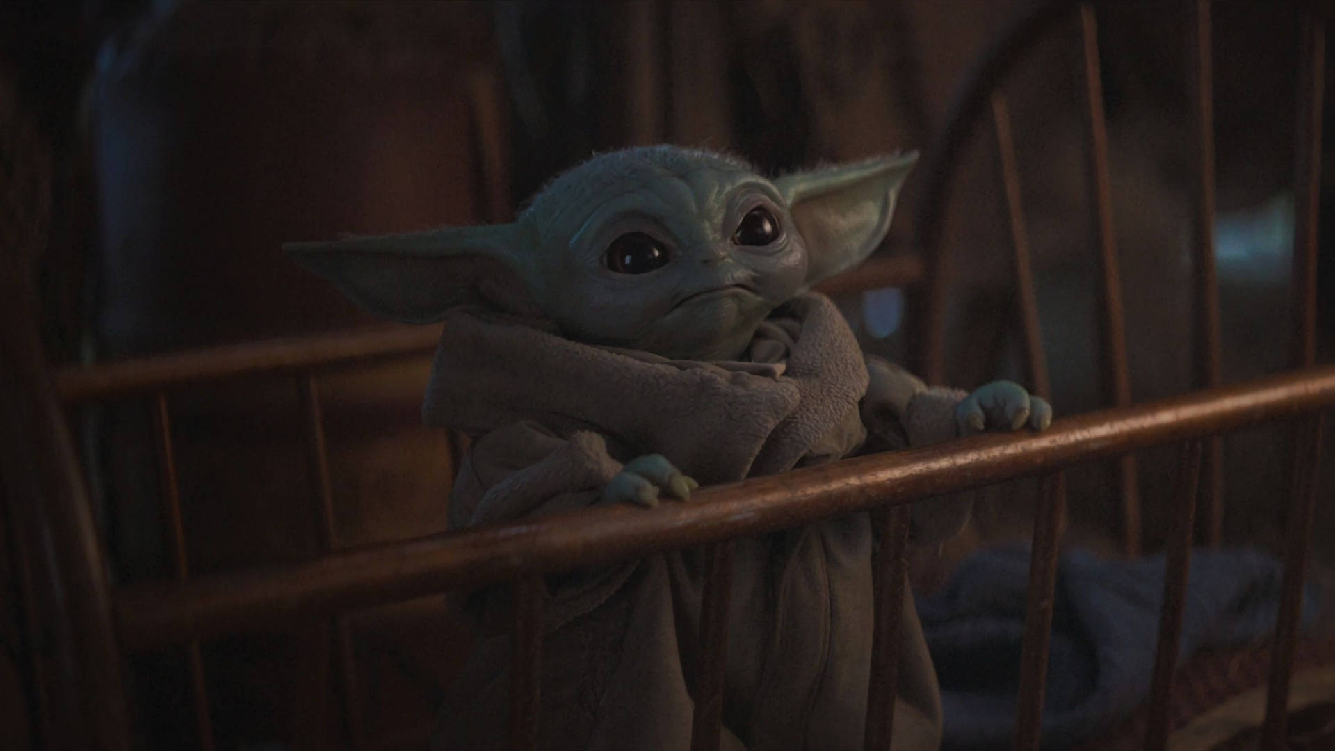 Baby Yoda 2560X1440 Wallpaper and Background Image
