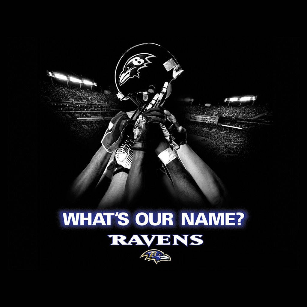 Baltimore Ravens 1024X1024 Wallpaper and Background Image