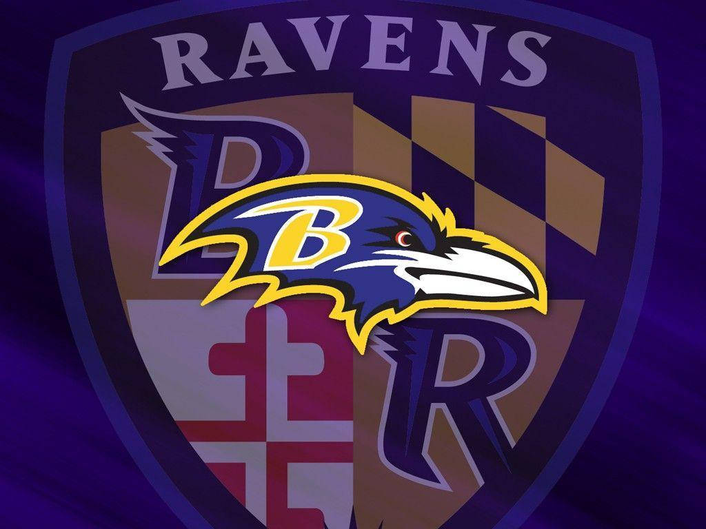 1024X768 Baltimore Ravens Wallpaper and Background