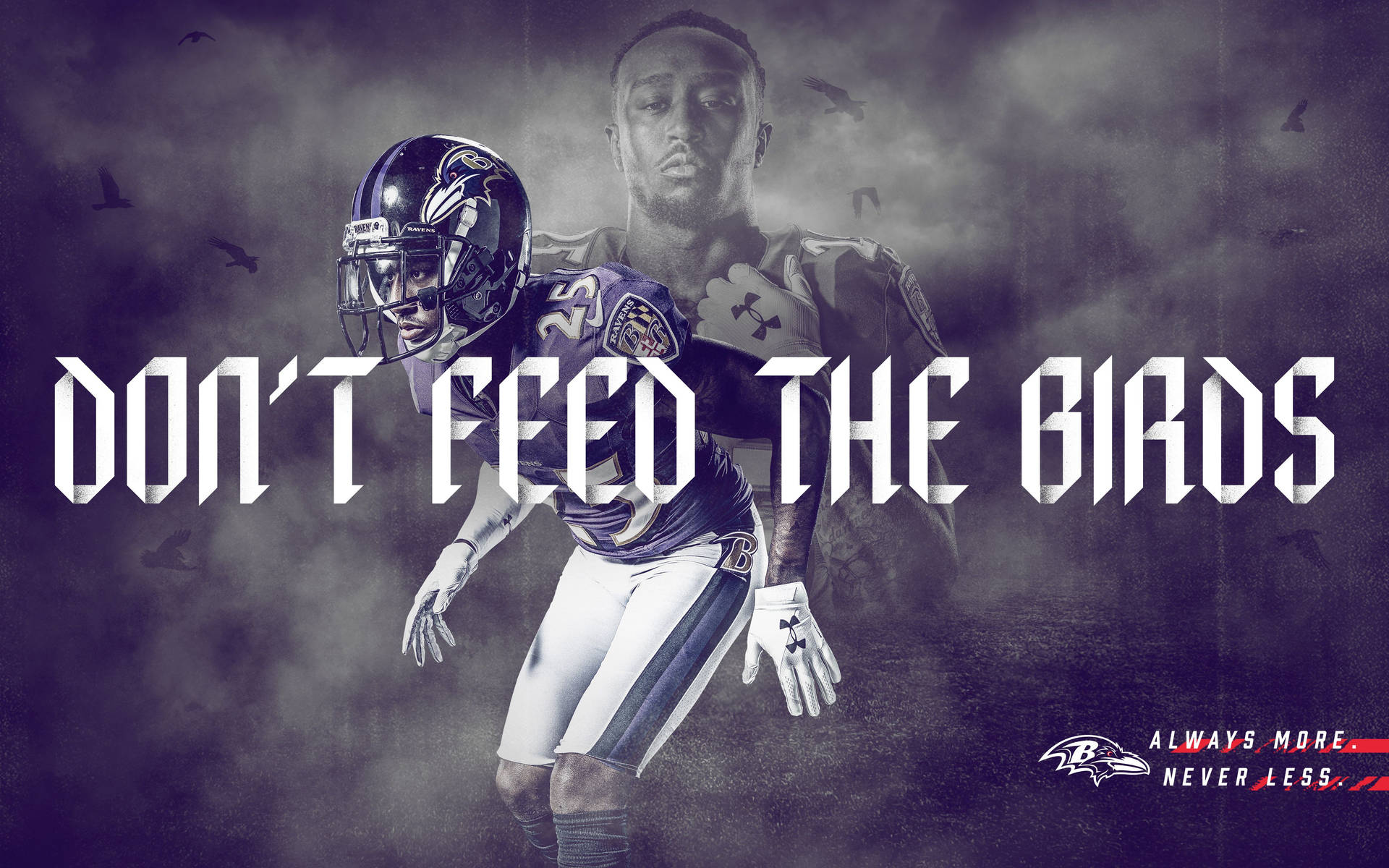 Baltimore Ravens 4800X3000 Wallpaper and Background Image