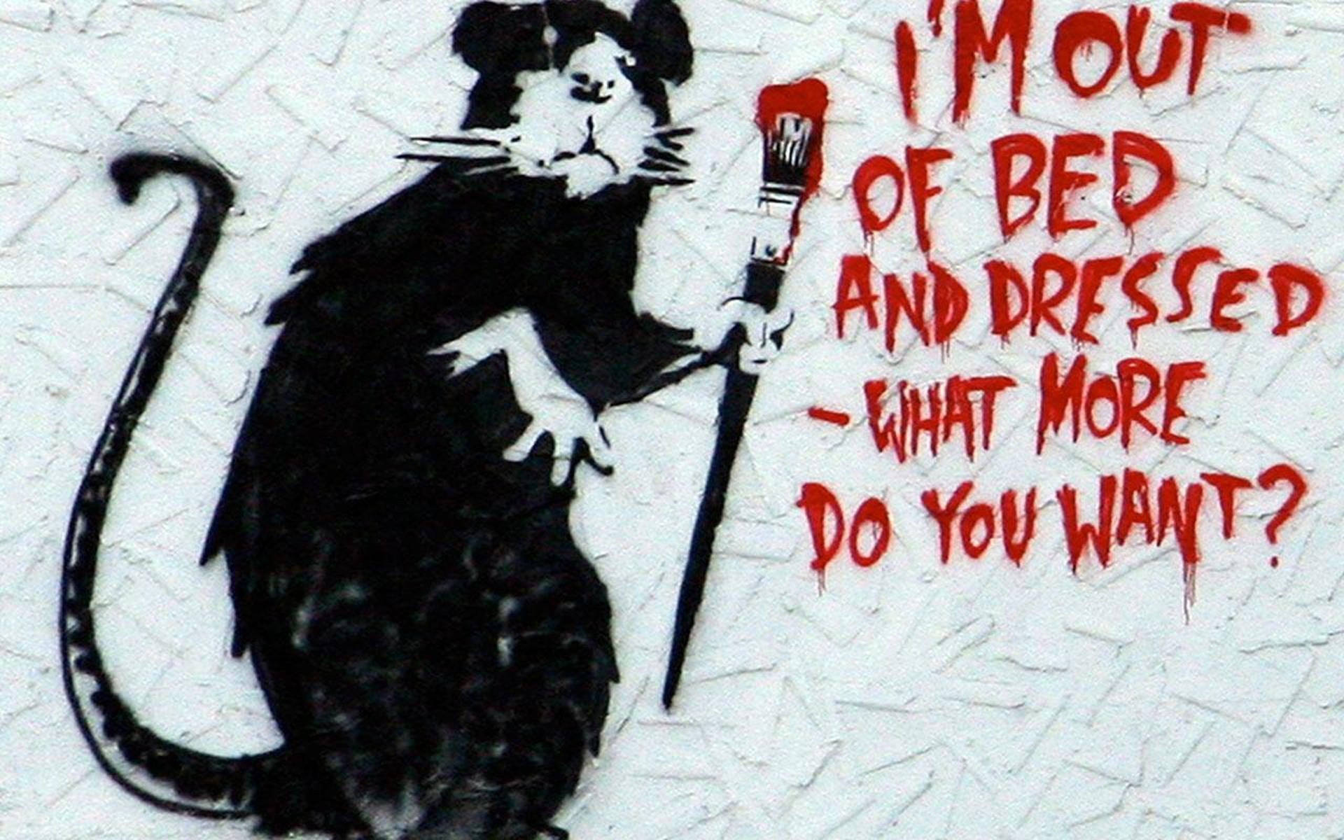 2560X1600 Banksy Wallpaper and Background