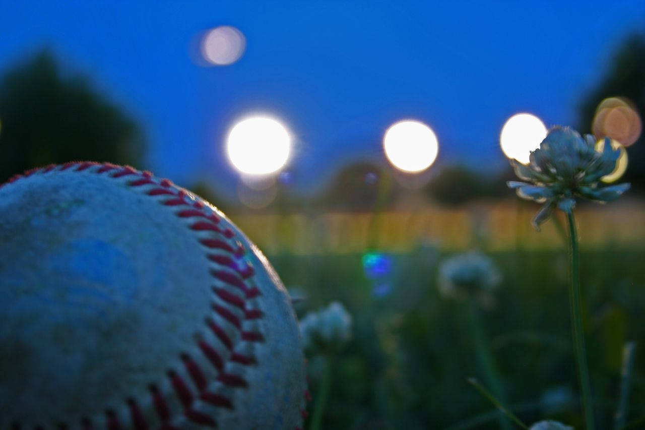 Baseball 1280X853 Wallpaper and Background Image