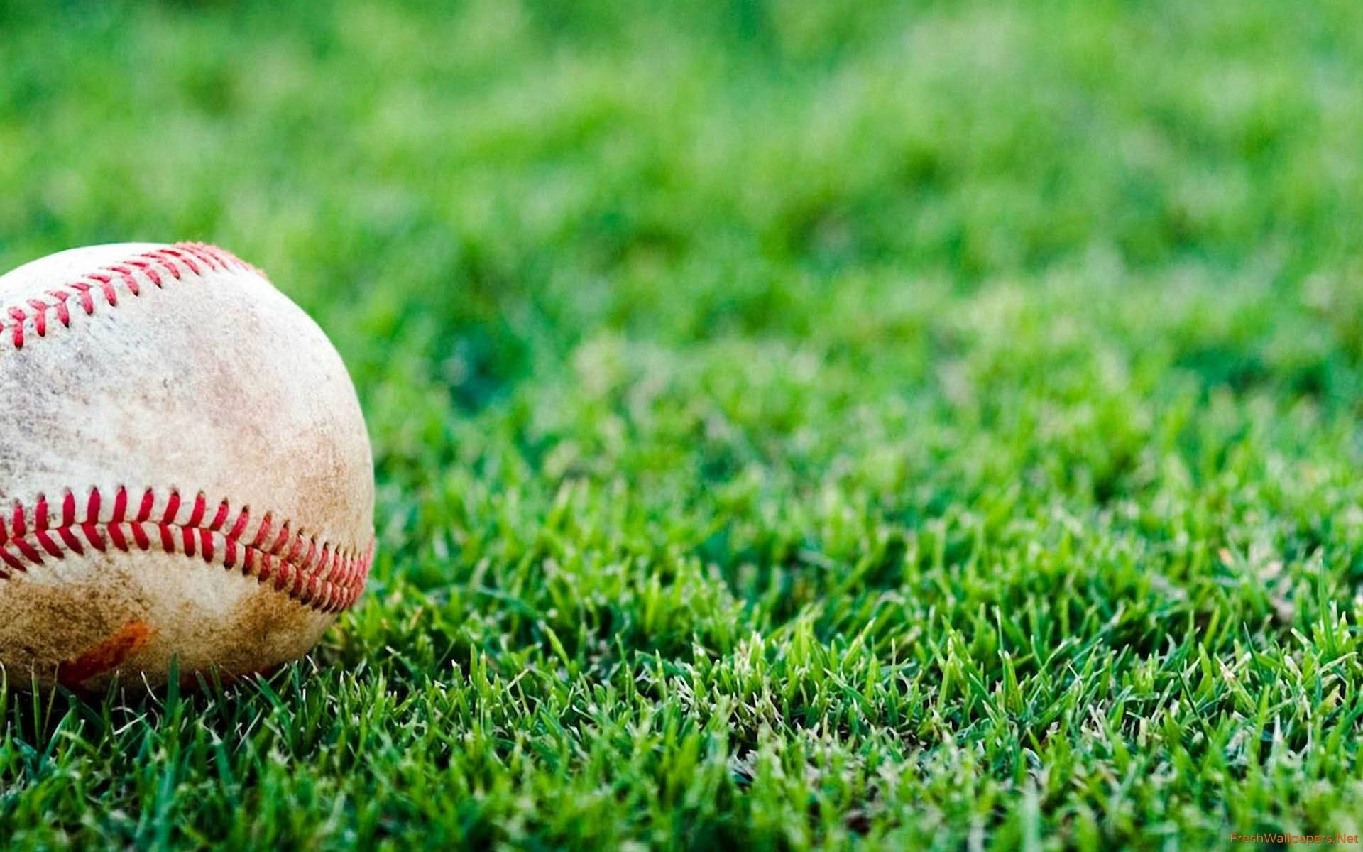 Baseball 2560X1600 Wallpaper and Background Image