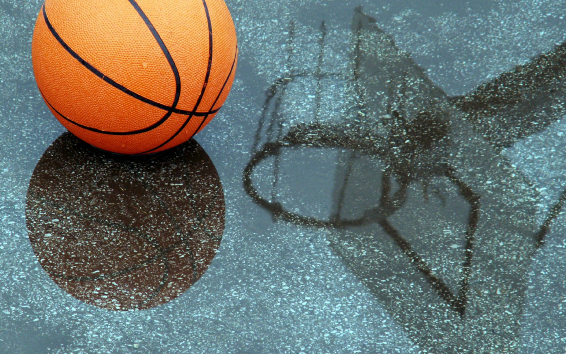 Basketball 2560X1600 Wallpaper and Background Image