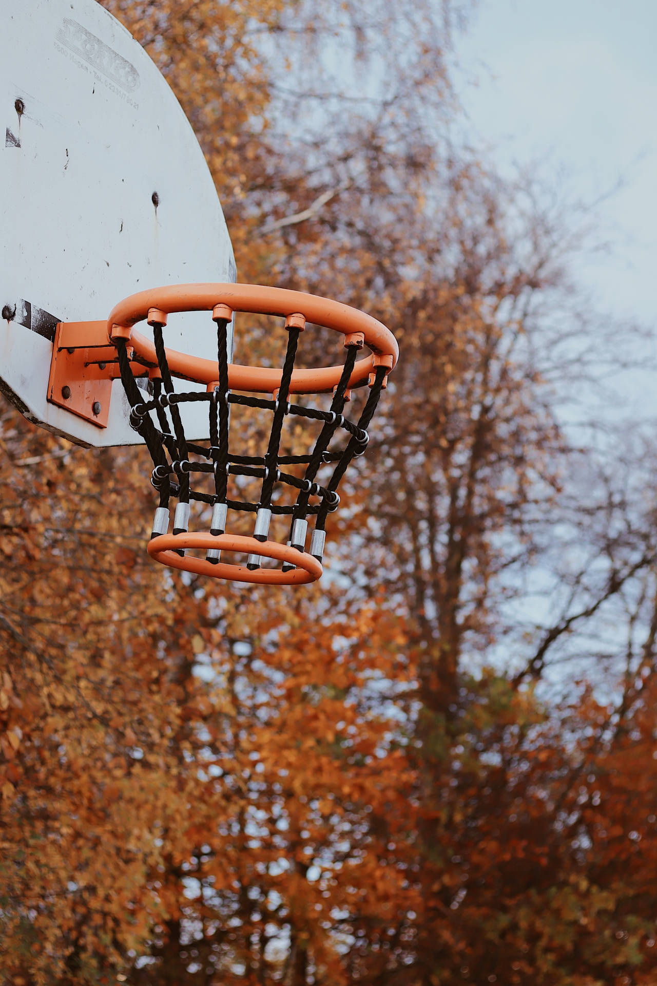 2656X3984 Basketball Wallpaper and Background