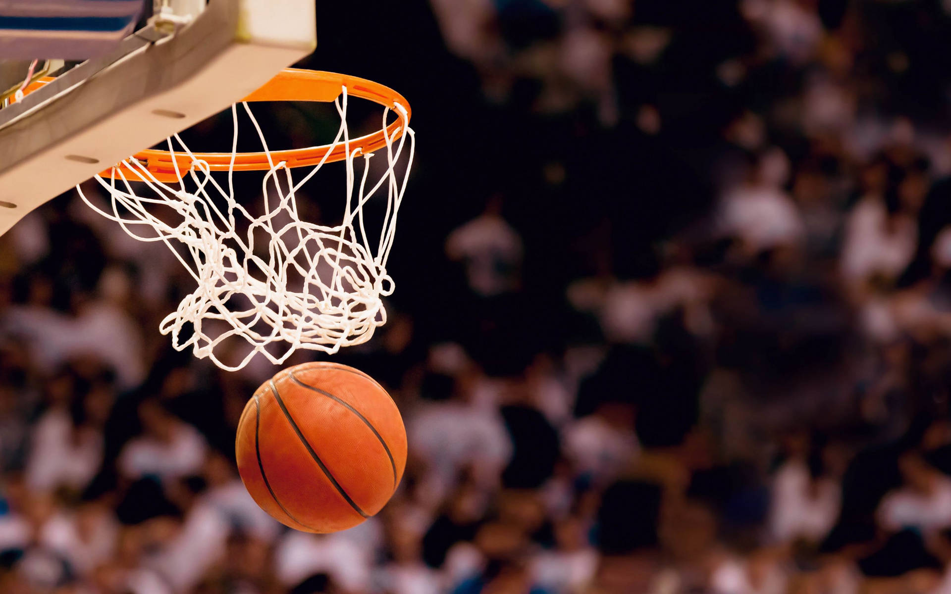 Basketball 2880X1800 Wallpaper and Background Image