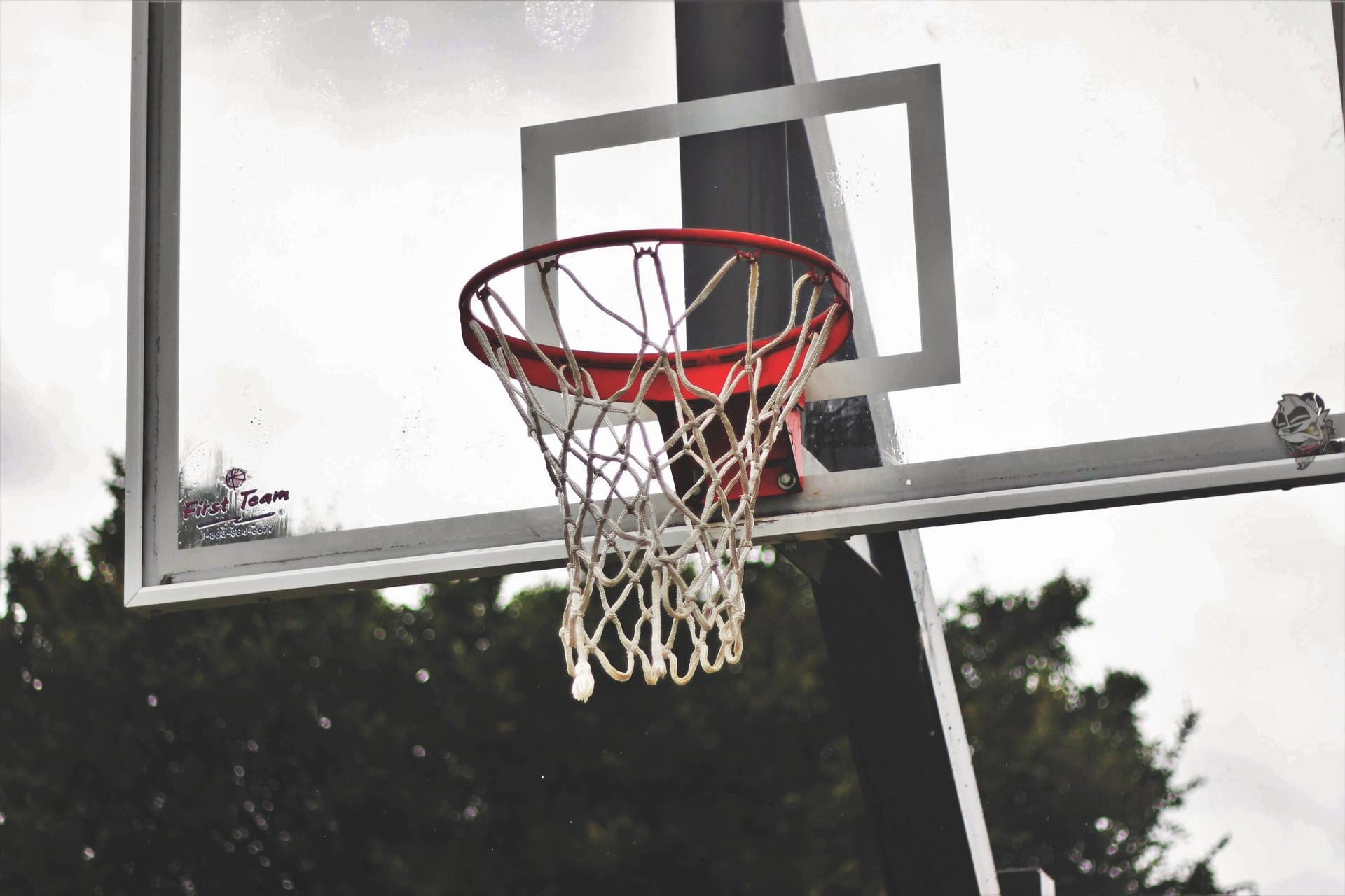 Basketball 4895X3263 Wallpaper and Background Image