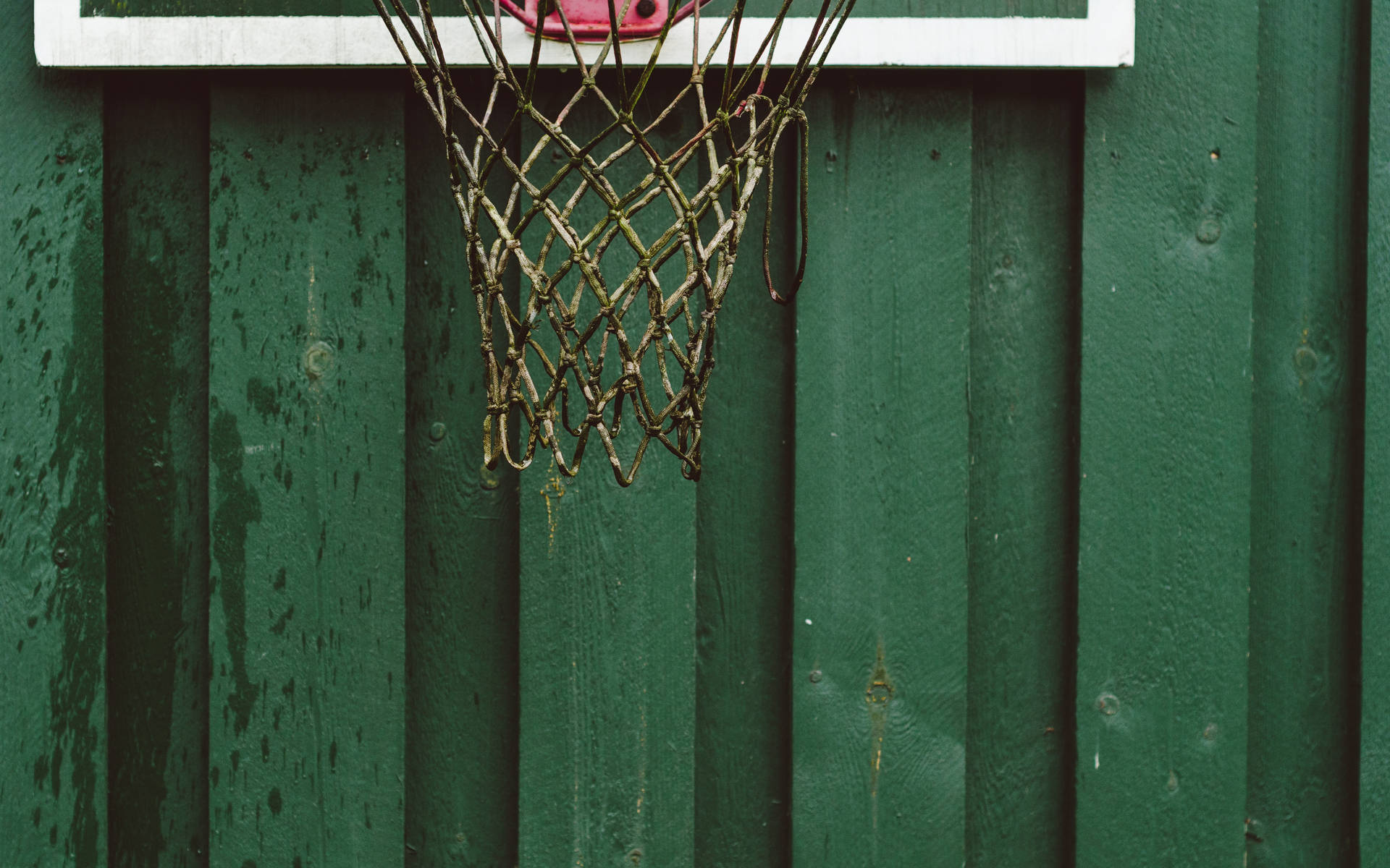Basketball 4928X3080 wallpaper