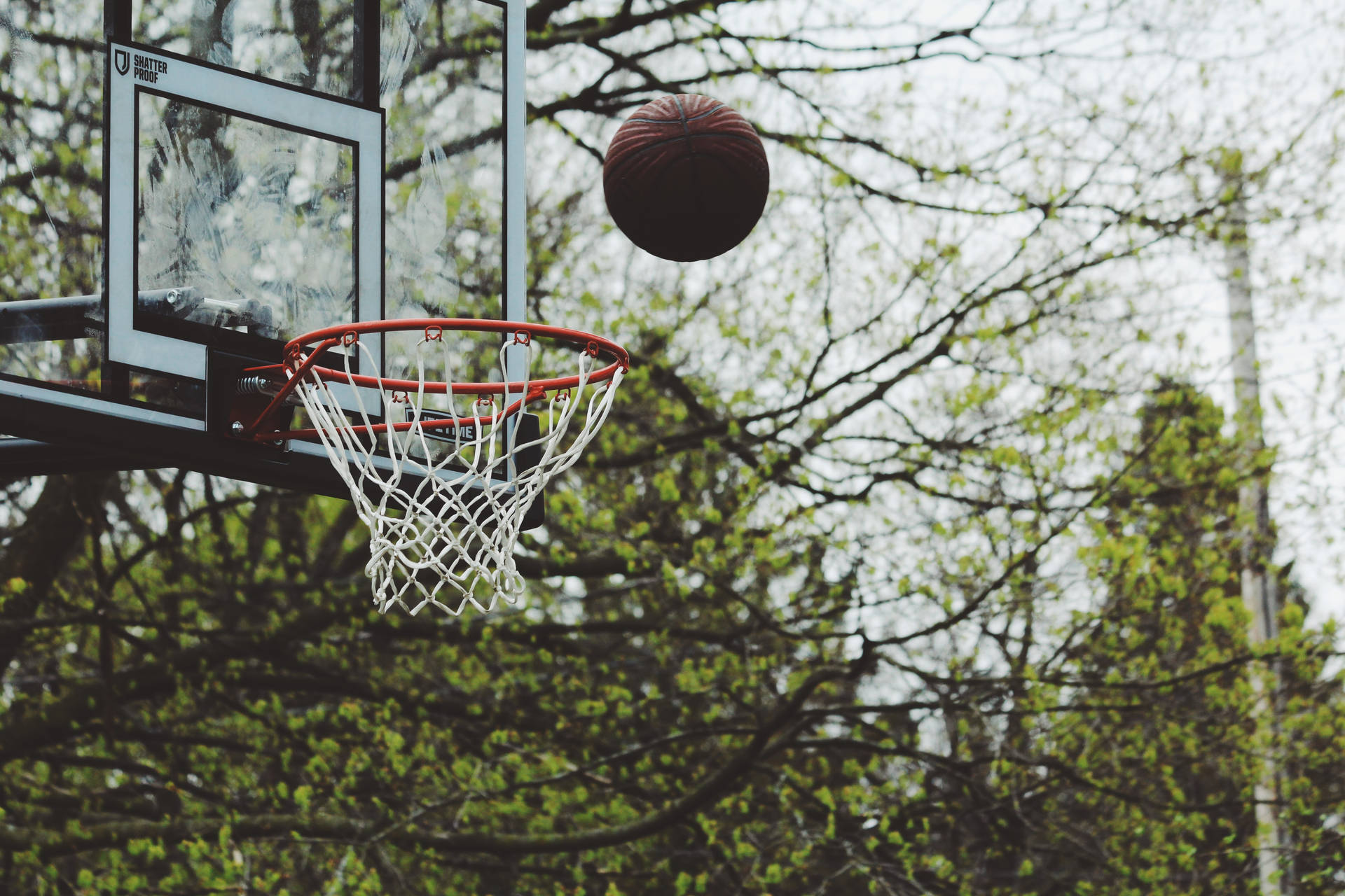 Basketball 5184X3456 Wallpaper and Background Image