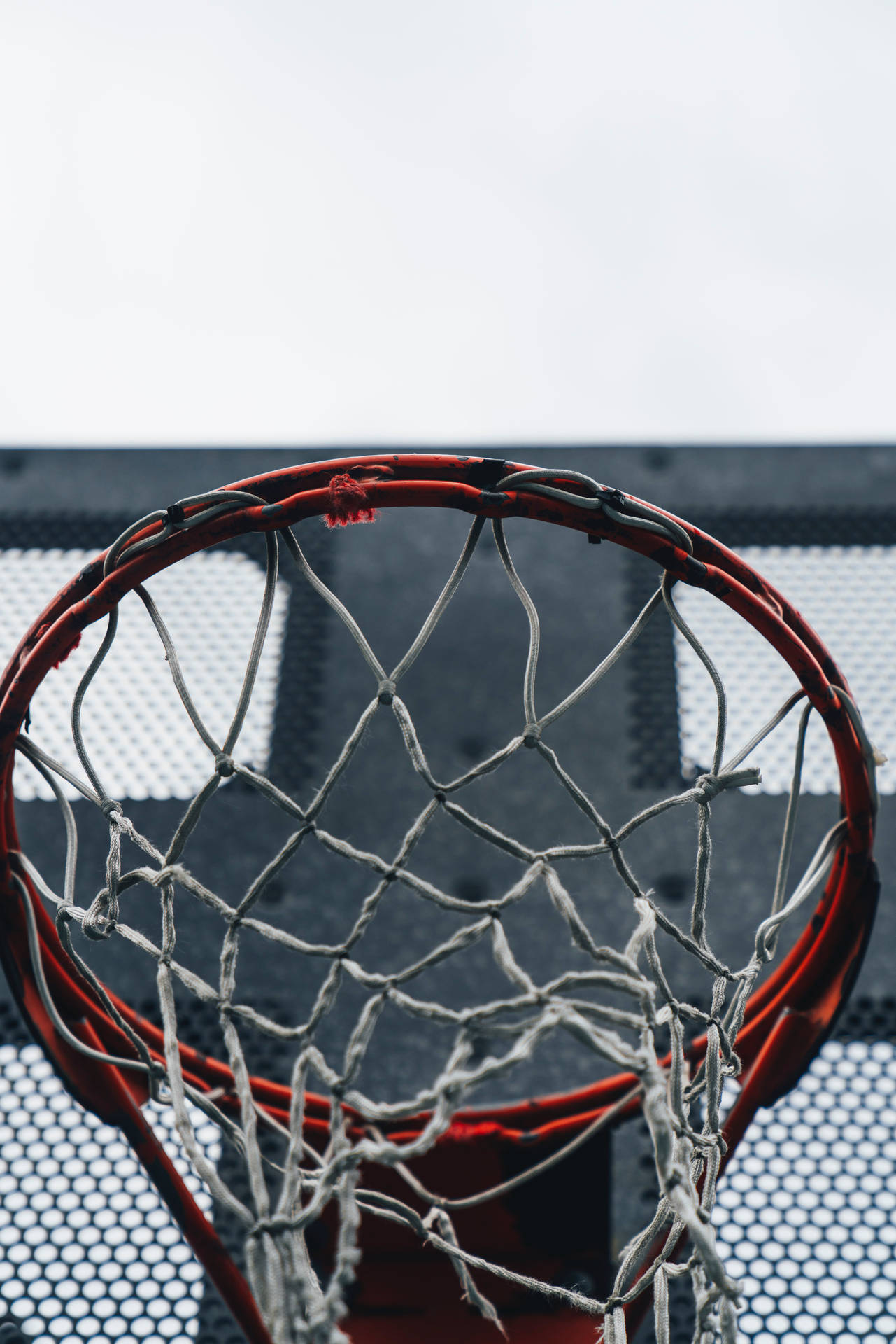 Basketball 5304X7952 Wallpaper and Background Image