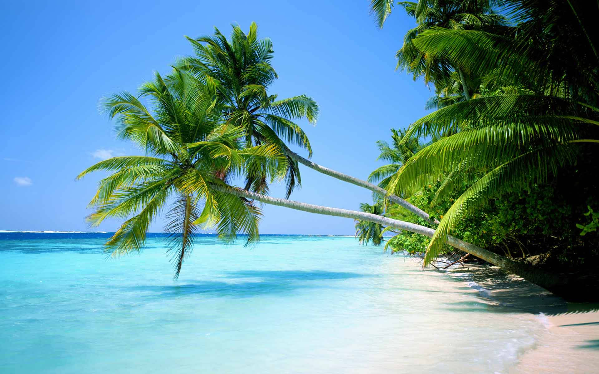 1920X1200 Beach Wallpaper and Background