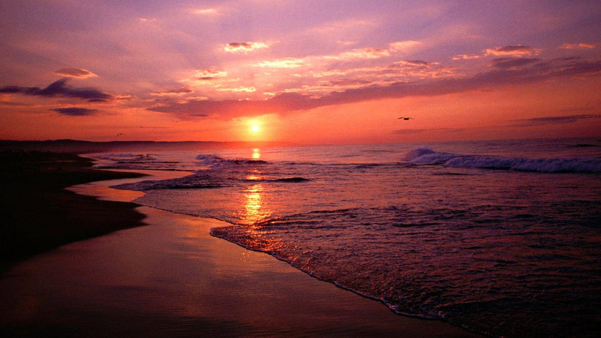 Beach Sunset 1920X1080 Wallpaper and Background Image