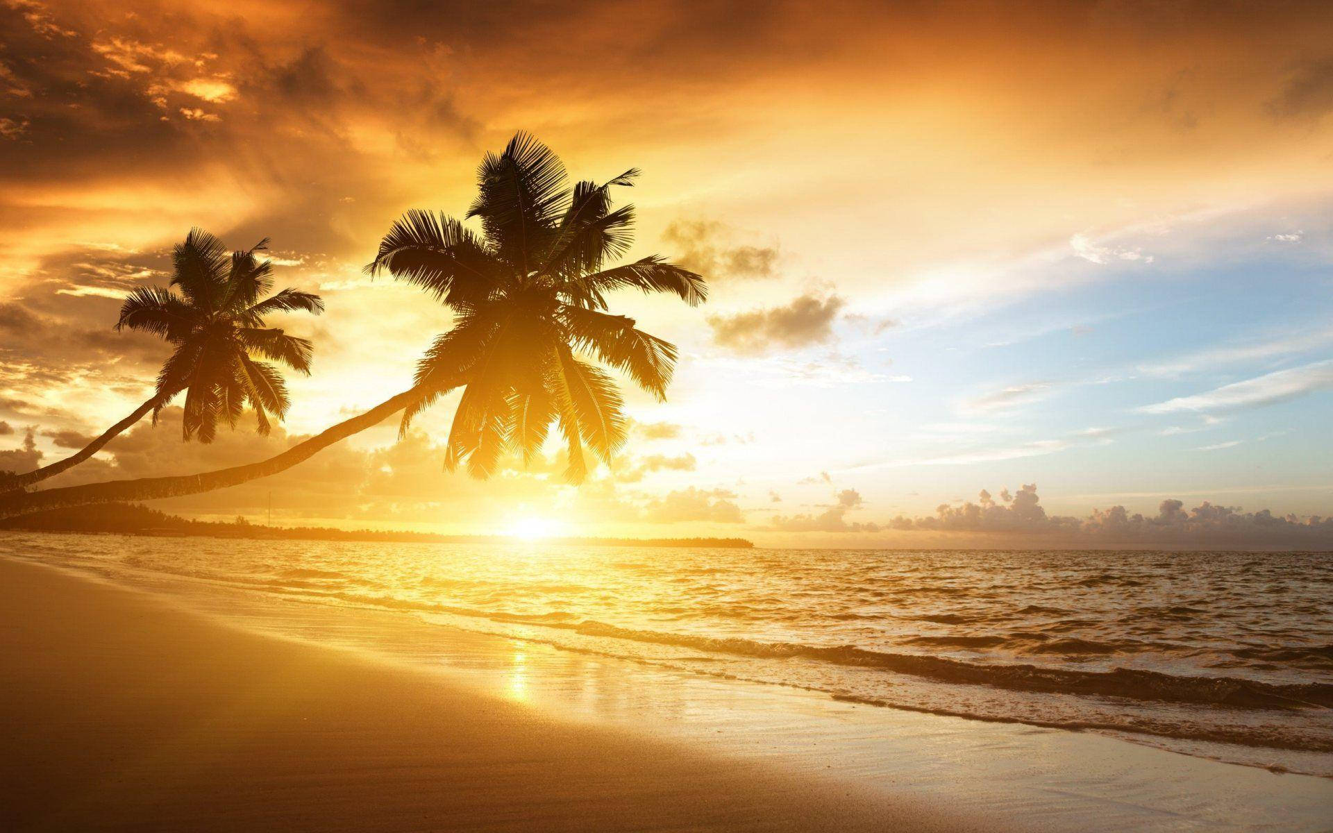 Beach Sunset 1920X1200 Wallpaper and Background Image