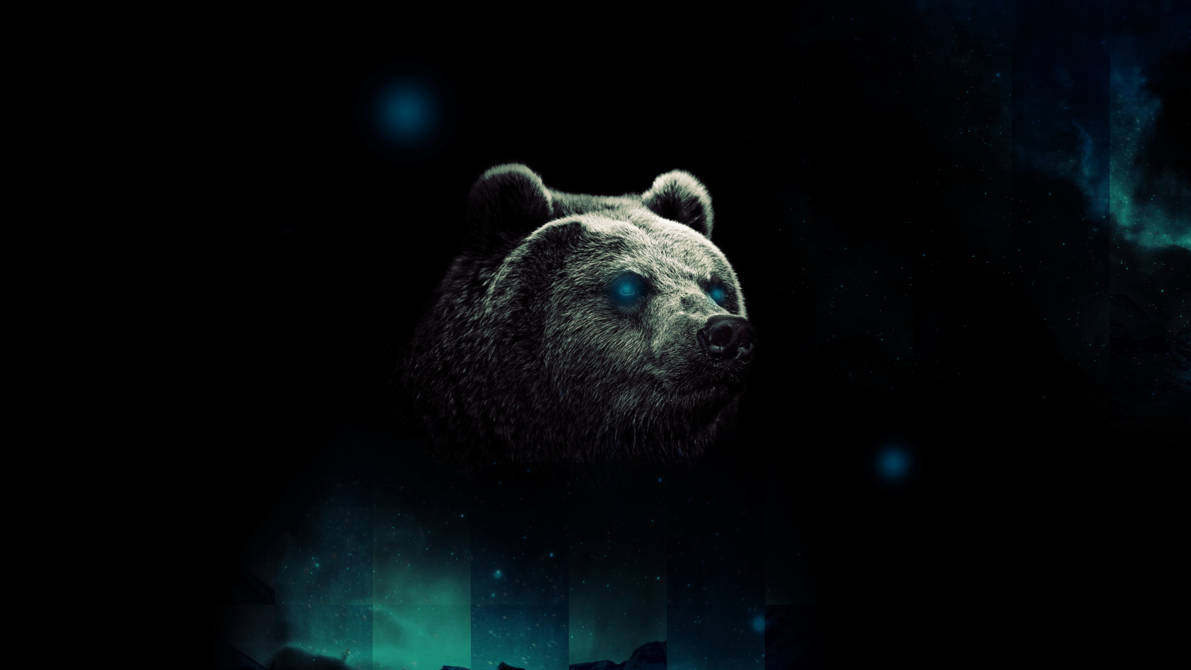 Bear 1191X670 Wallpaper and Background Image