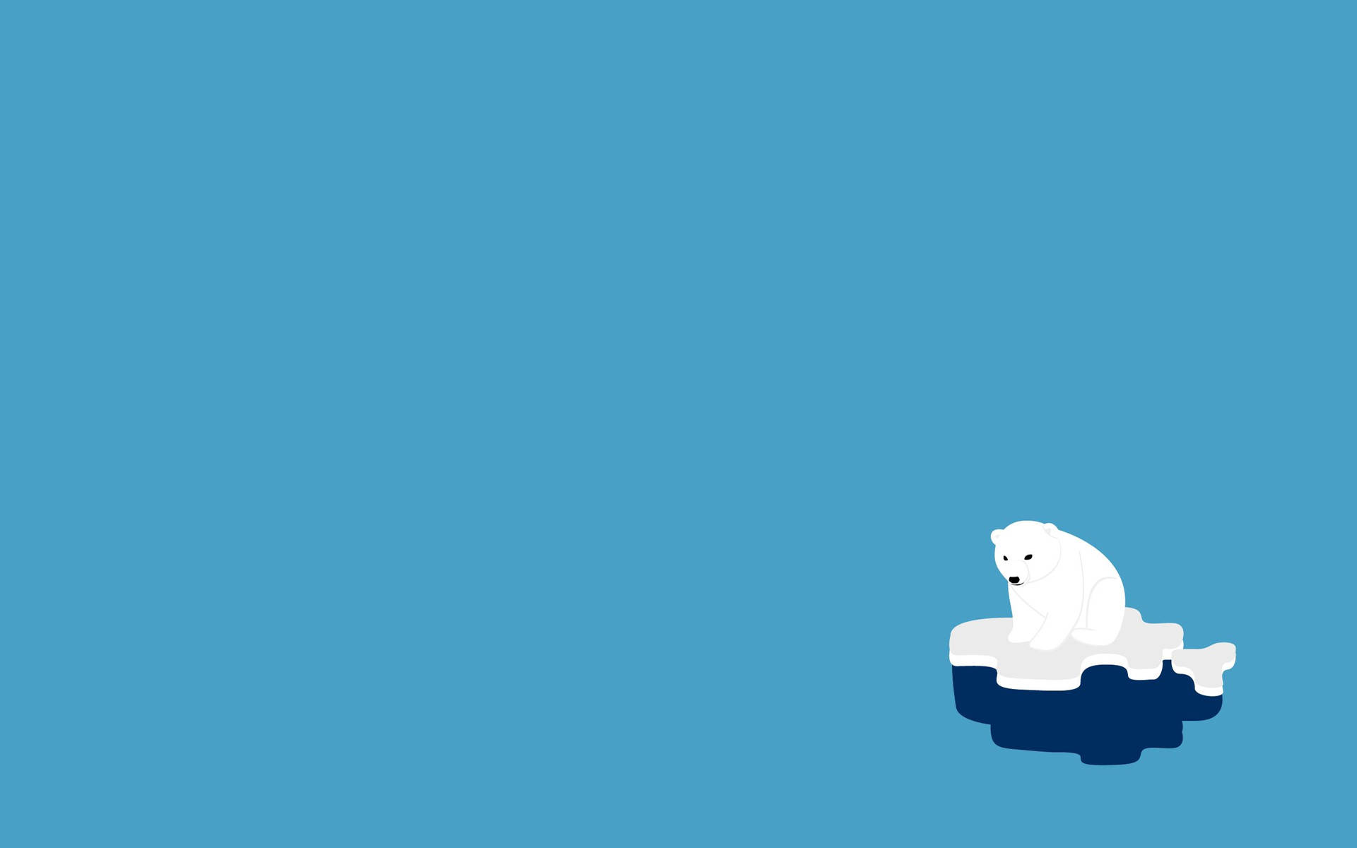 2560X1600 Bear Wallpaper and Background