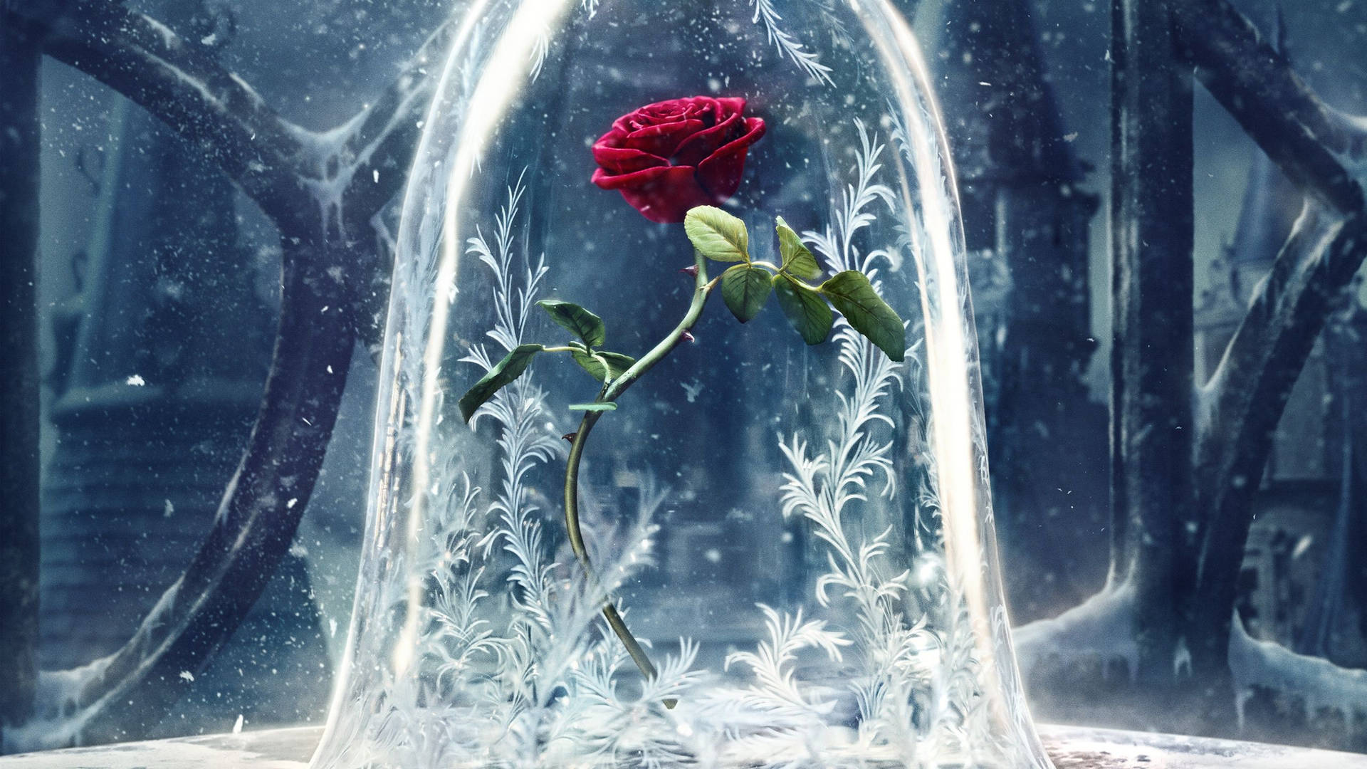 Beauty And The Beast 2560X1440 Wallpaper and Background Image