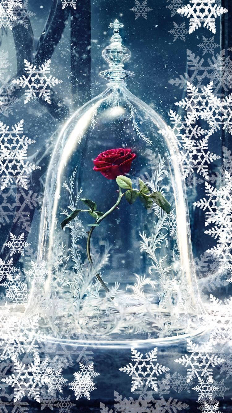 Beauty And The Beast 750X1334 Wallpaper and Background Image