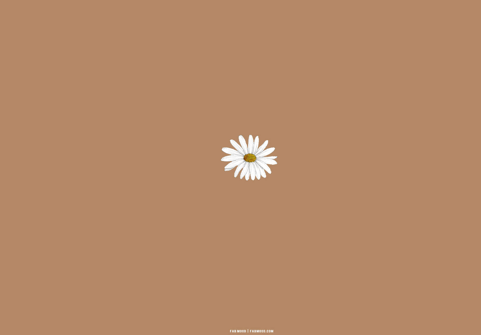 Beige Brown Aesthetic 1970X1371 Wallpaper and Background Image