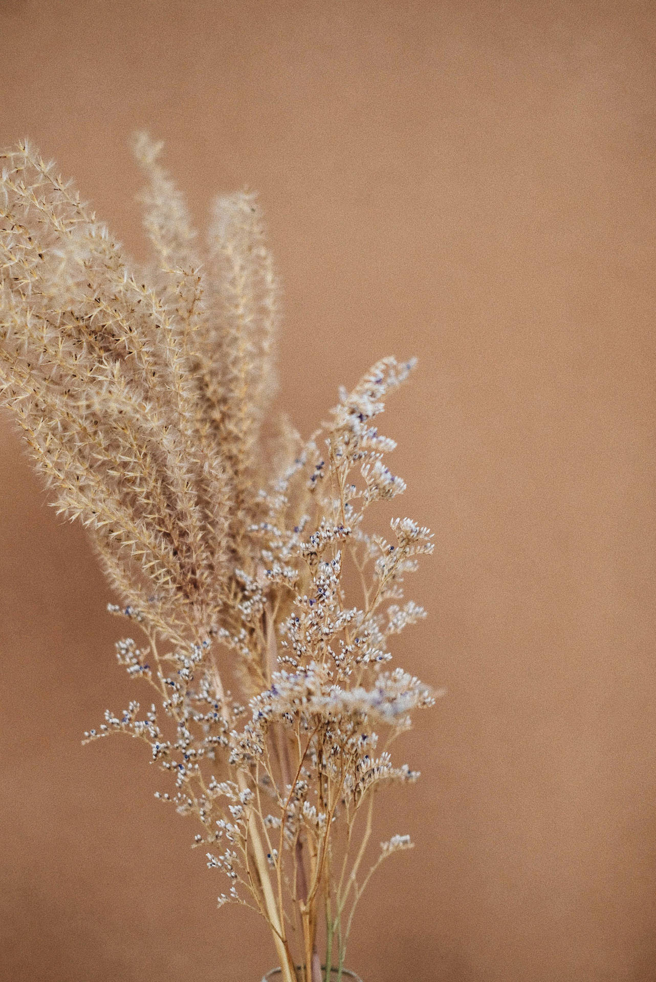 Beige Brown Aesthetic 2051X3071 wallpaper