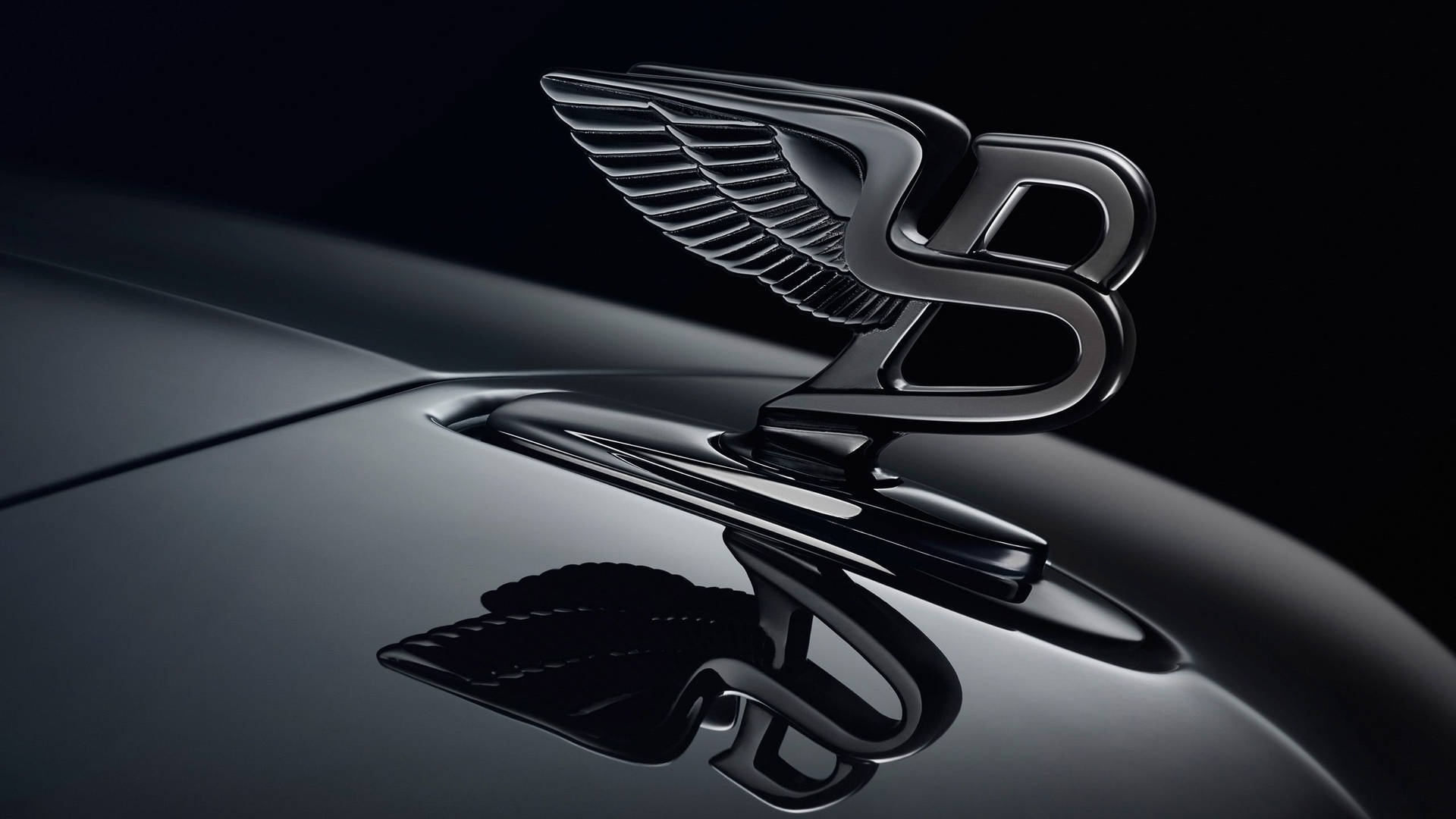 Bentley 2560X1440 Wallpaper and Background Image
