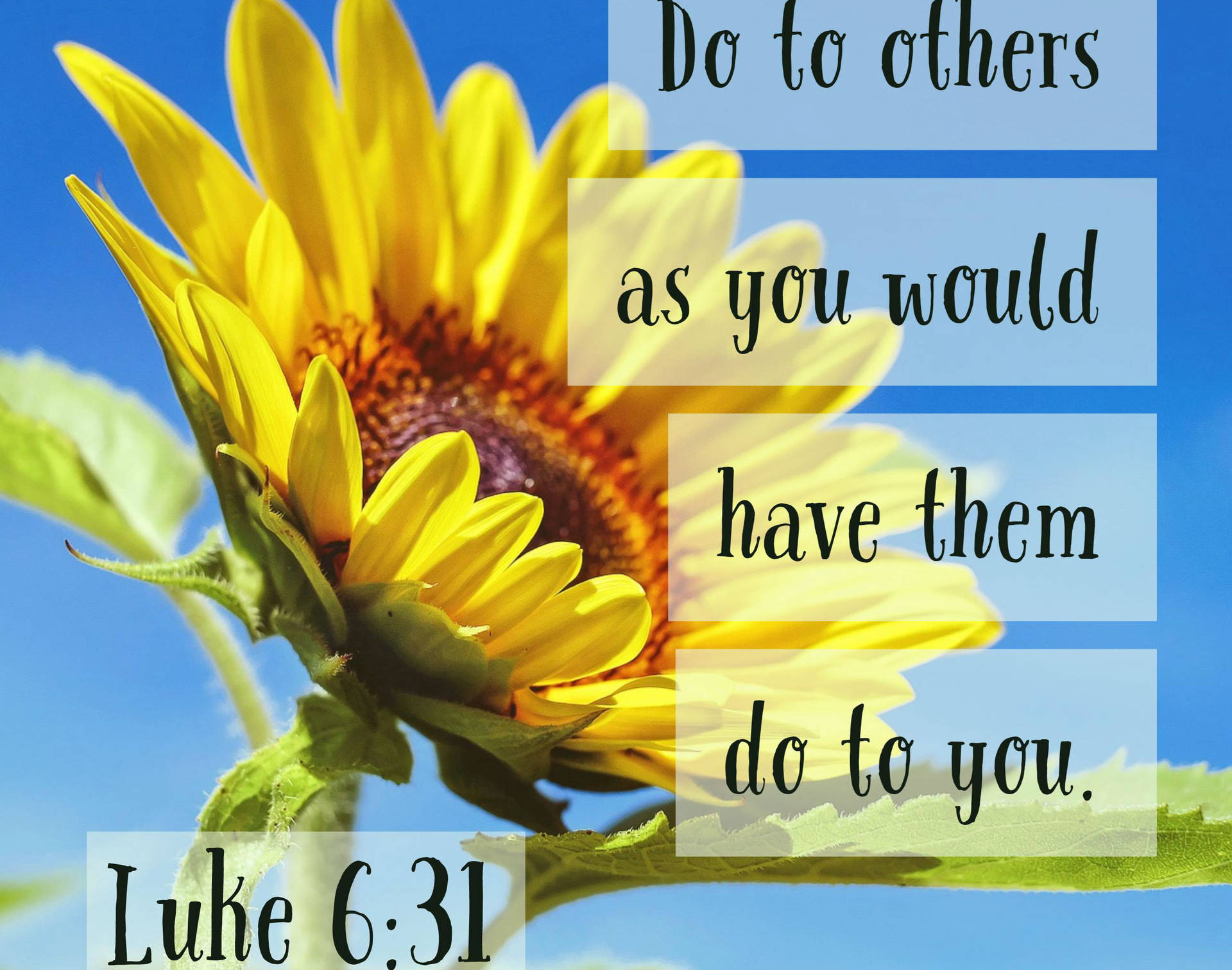 2558X2014 Bible Quotes Wallpaper and Background