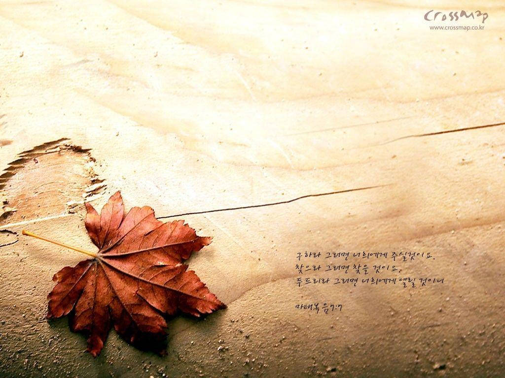 Bible Verse 1024X768 Wallpaper and Background Image