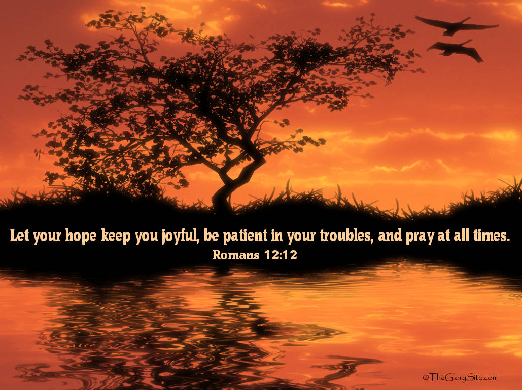 1029X768 Bible Verse Wallpaper and Background